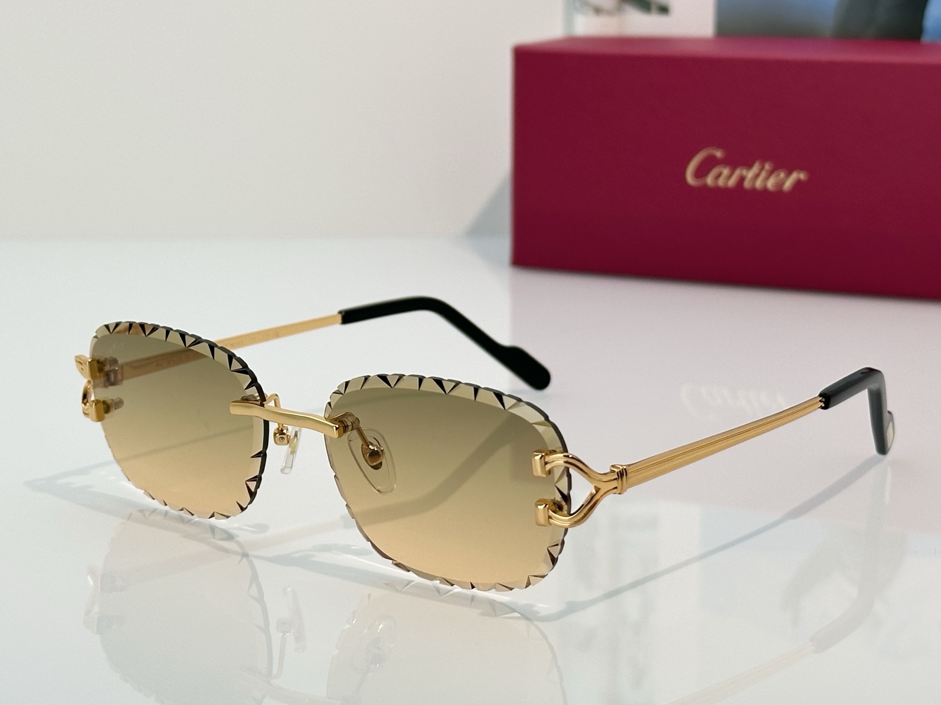 Designer Sunglasses CT7413S