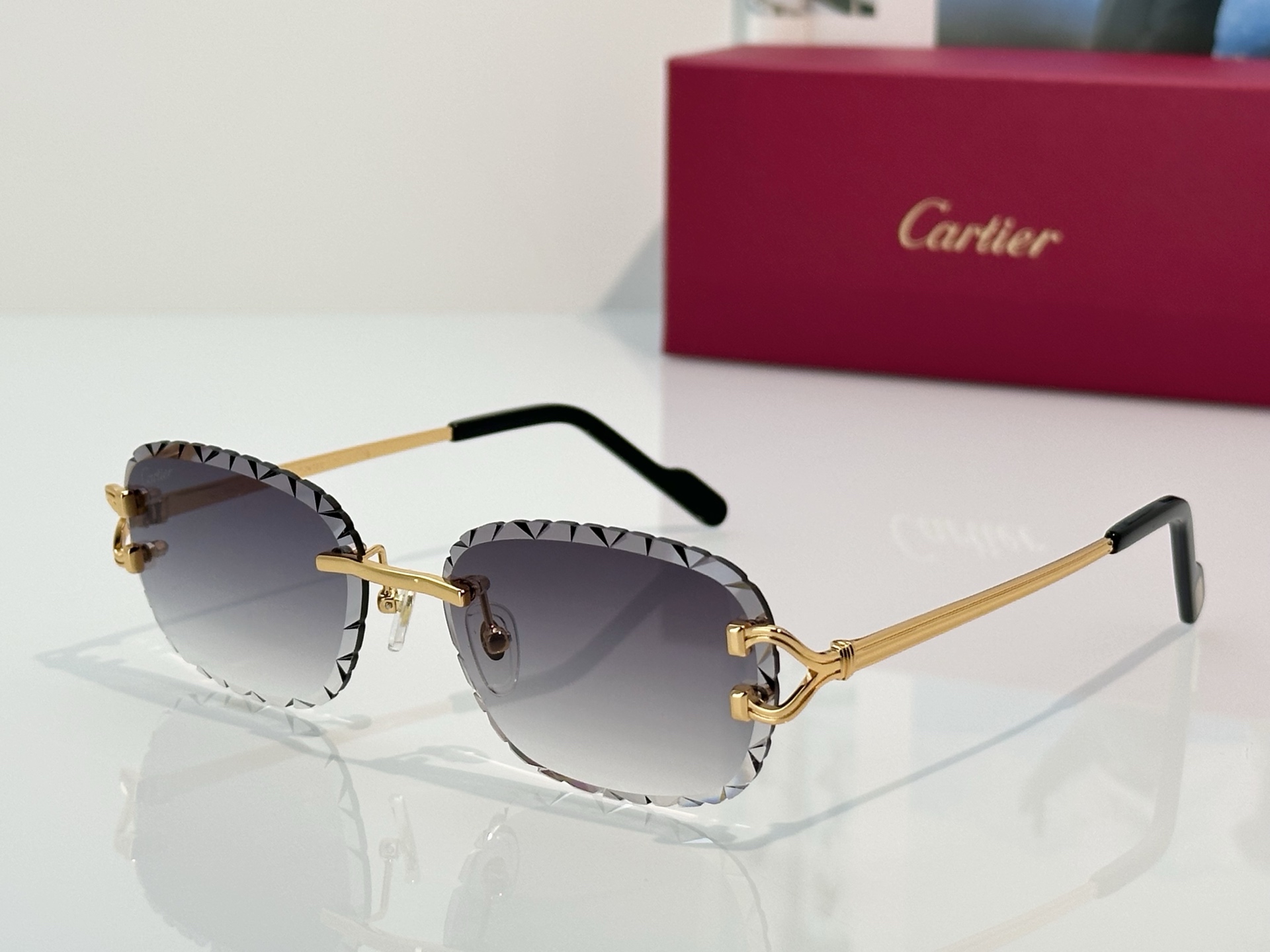 Designer Sunglasses CT7413S