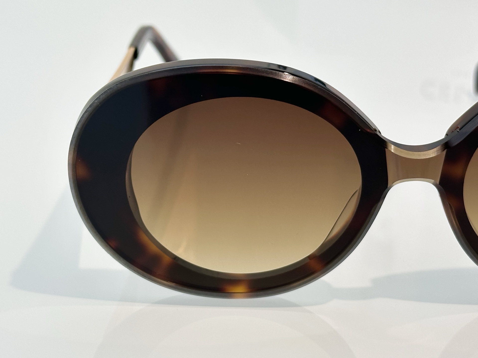 Designer Sunglasses CL42106U
