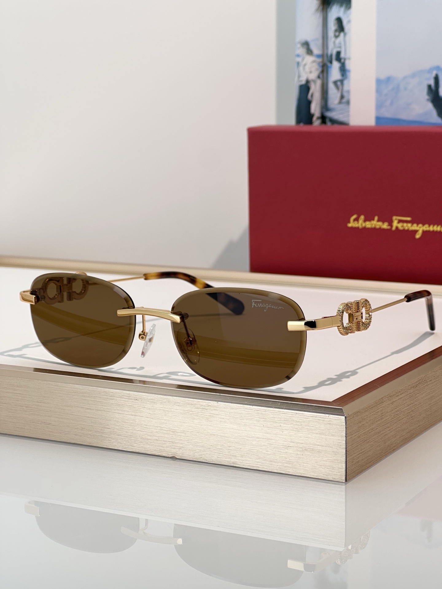 Designer Sunglasses SF1679L