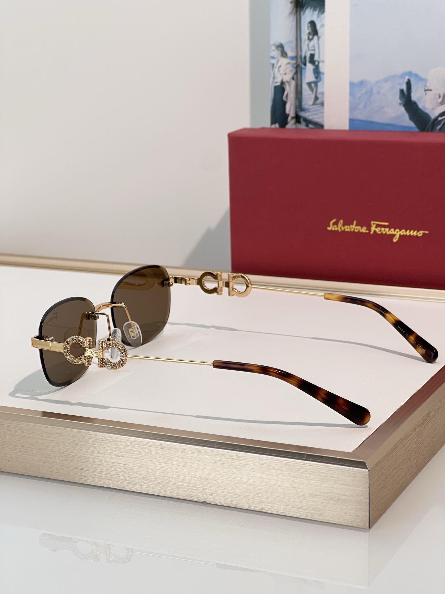Designer Sunglasses SF1679L