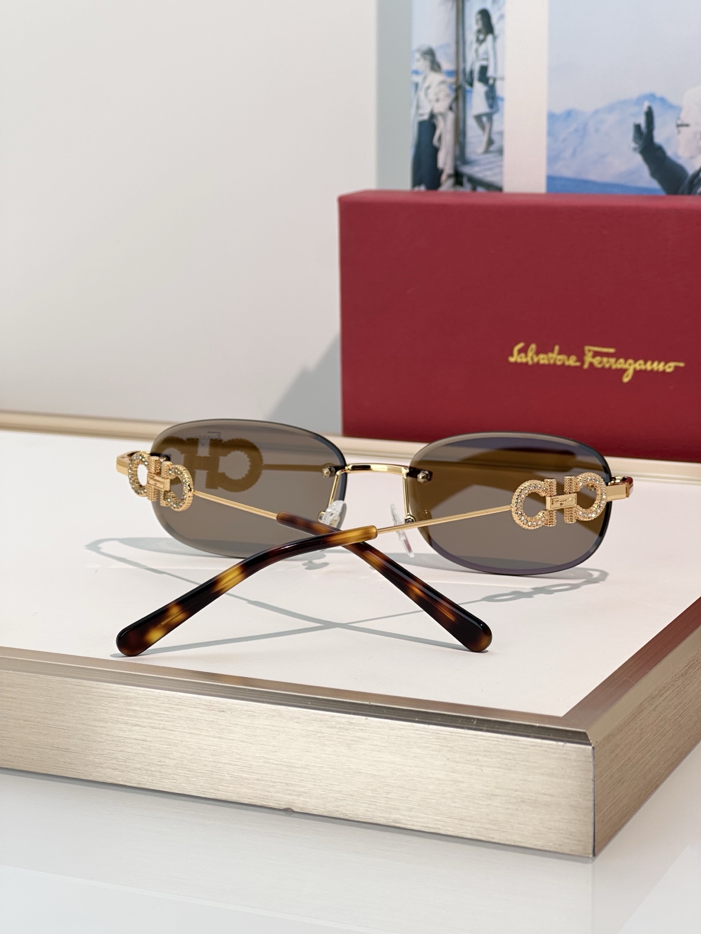 Designer Sunglasses SF1679L