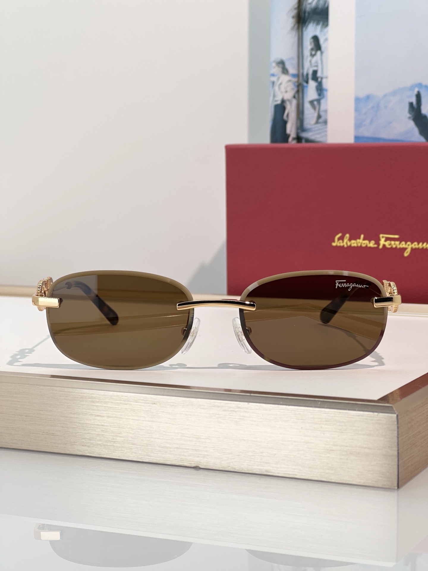 Designer Sunglasses SF1679L