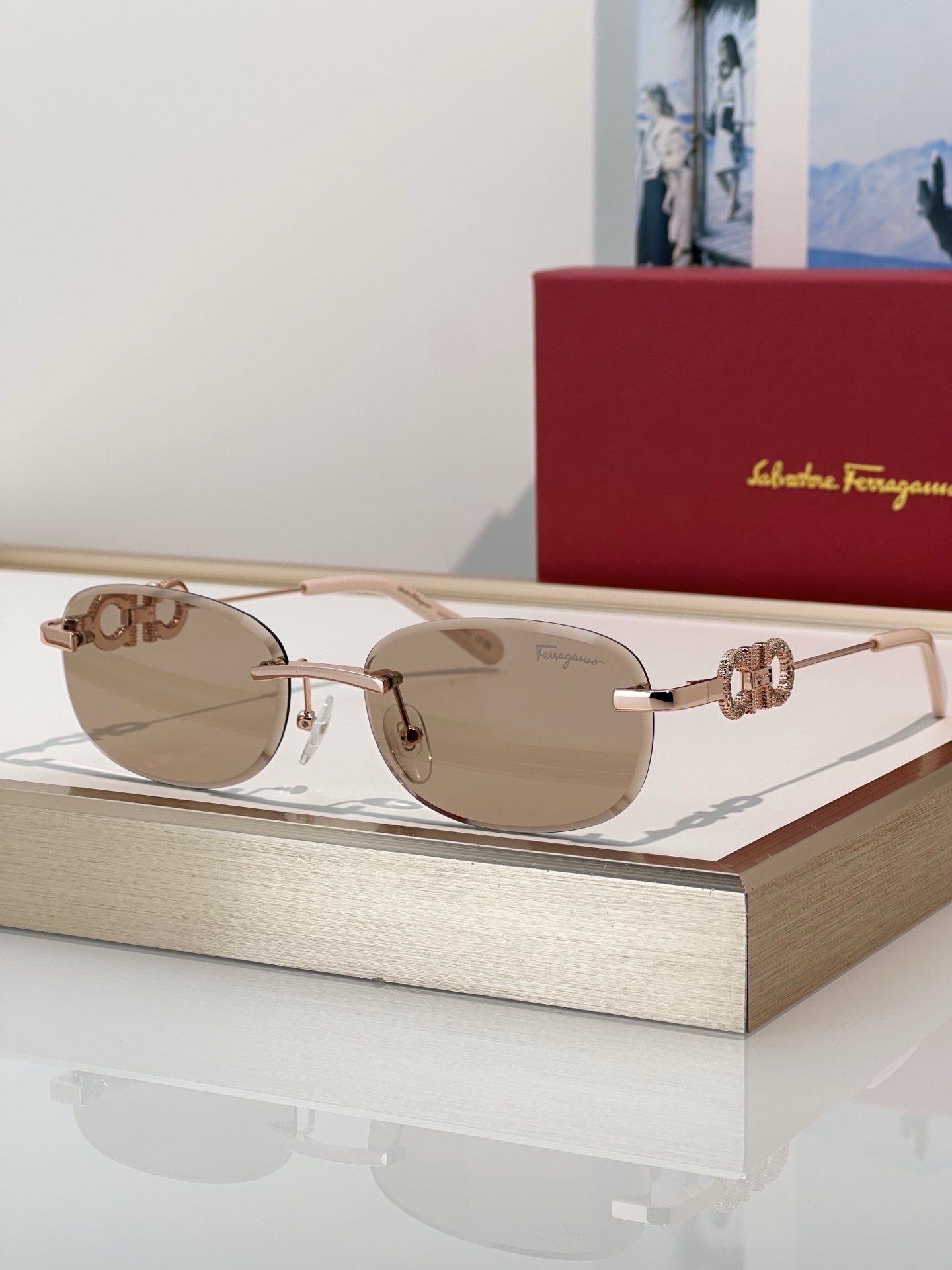 Designer Sunglasses SF1679L