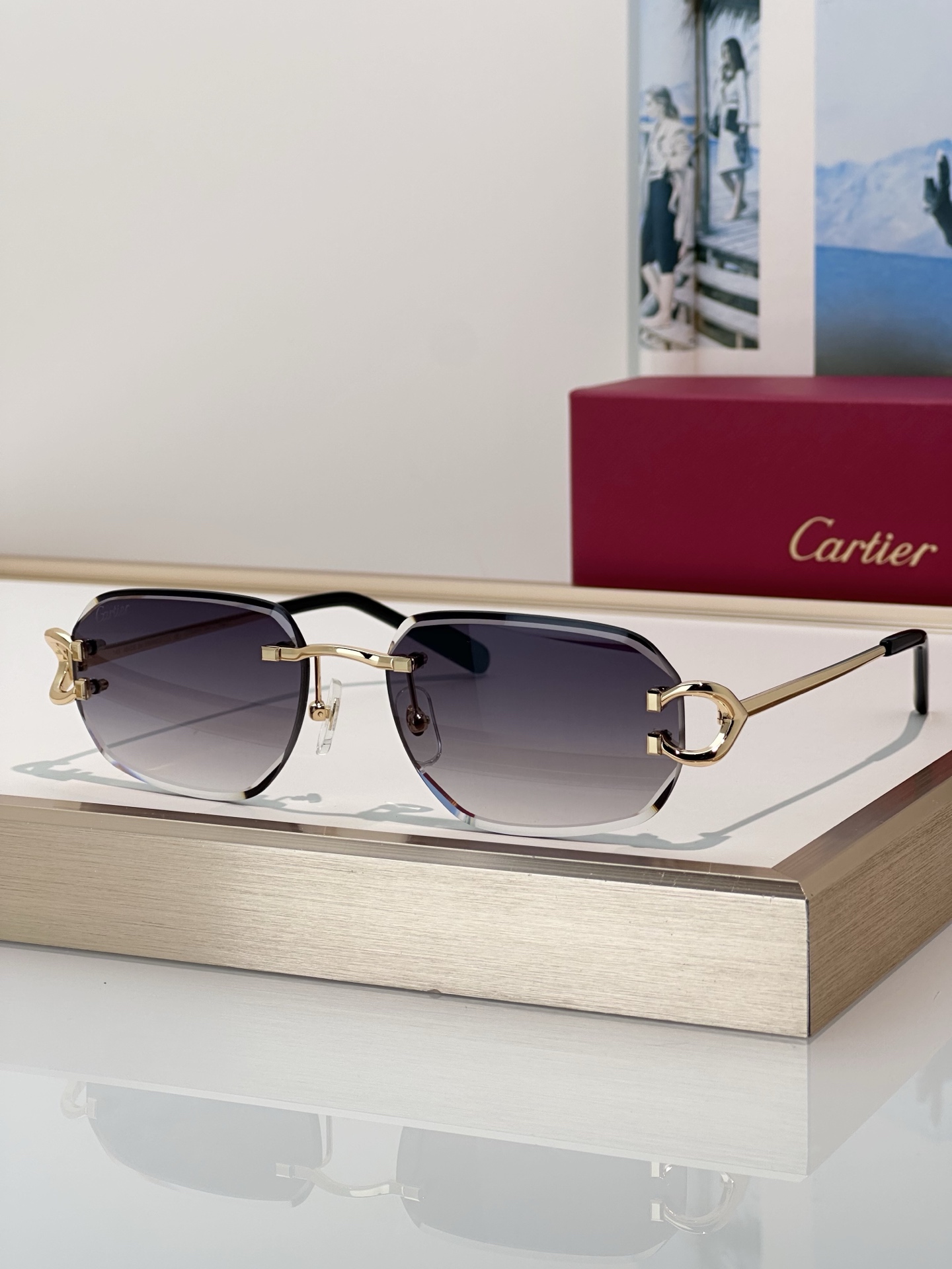 Designer Sunglasses CT0468S