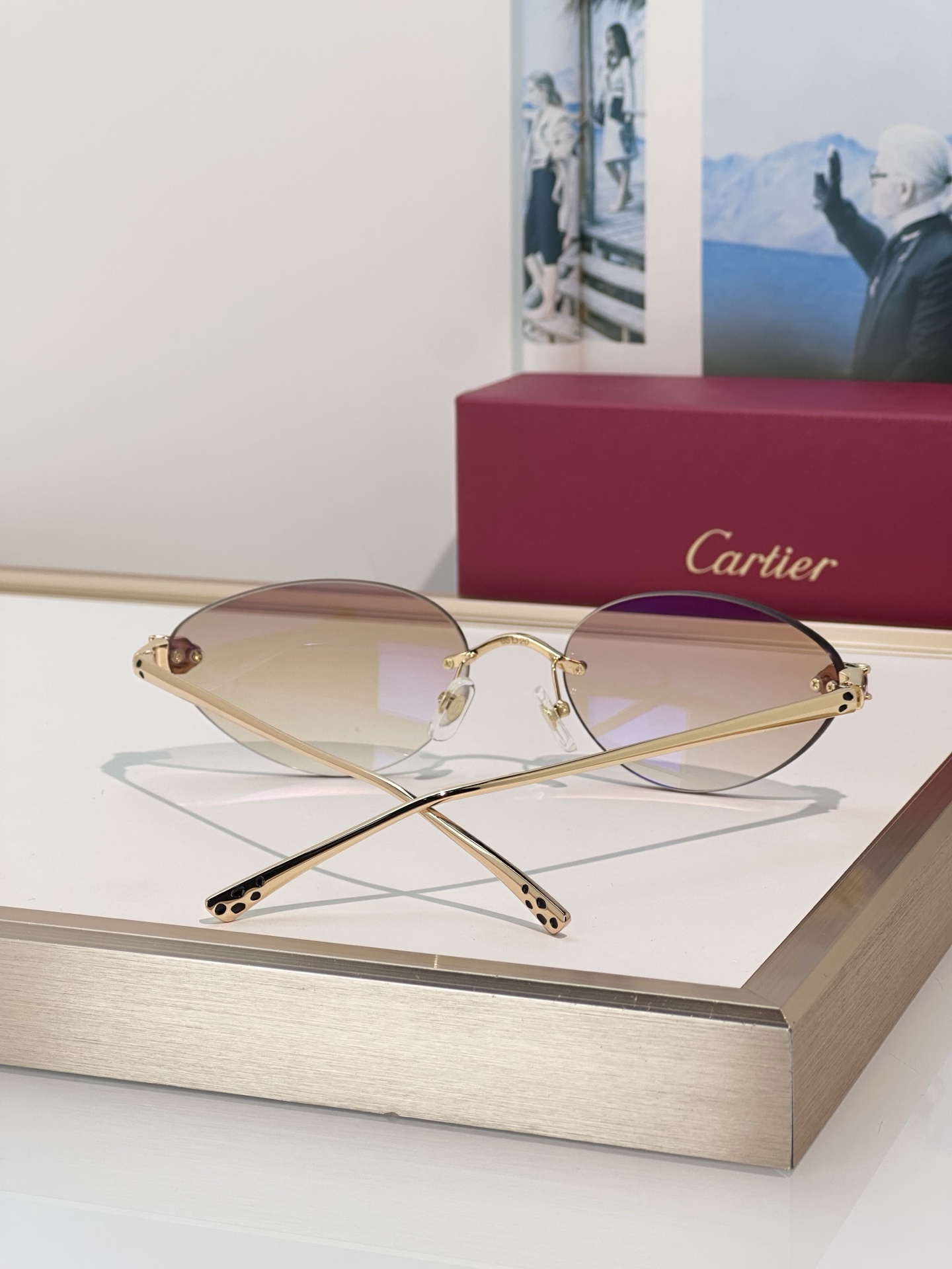 Designer Sunglasses CT0635S