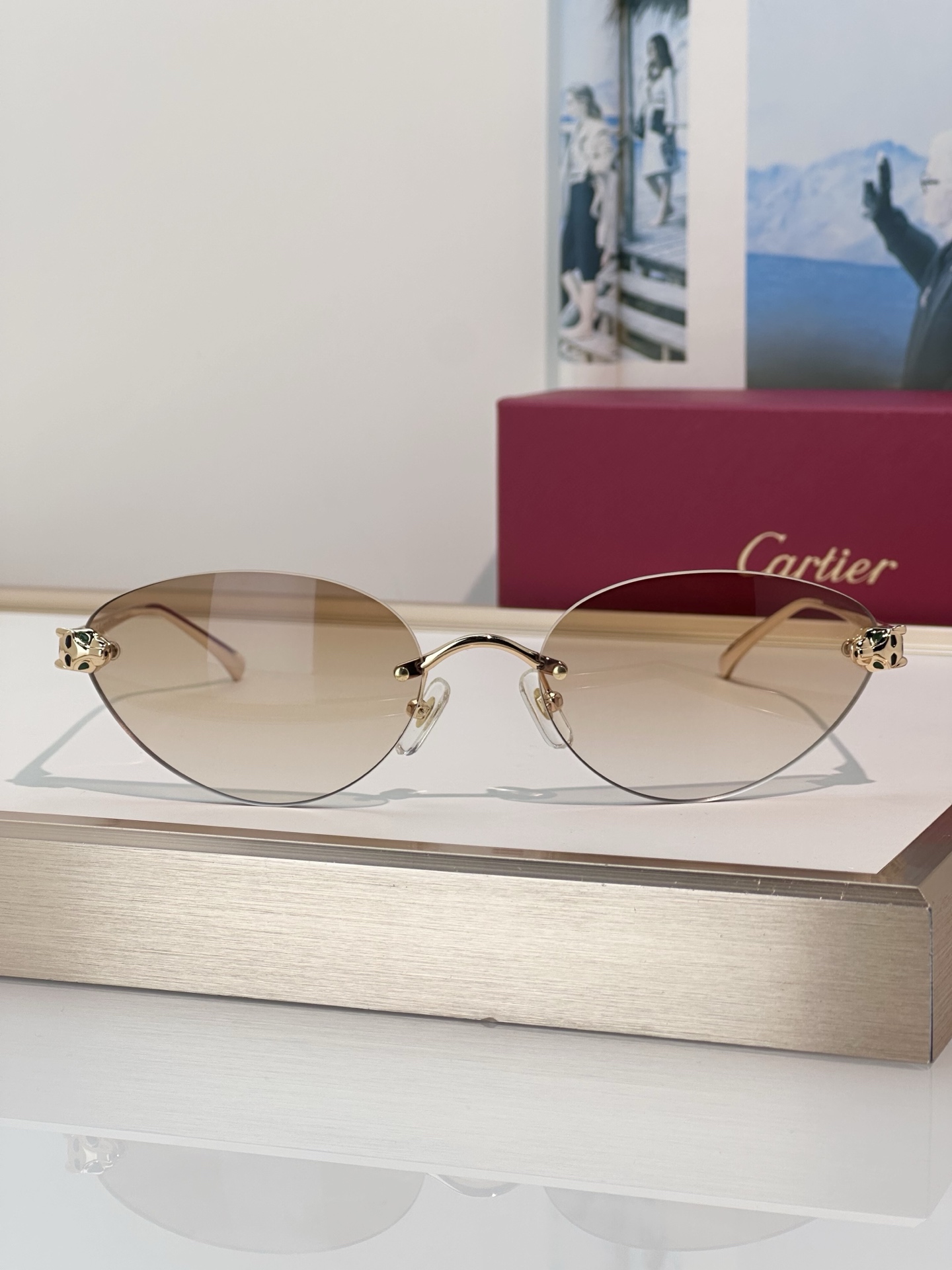Designer Sunglasses CT0635S