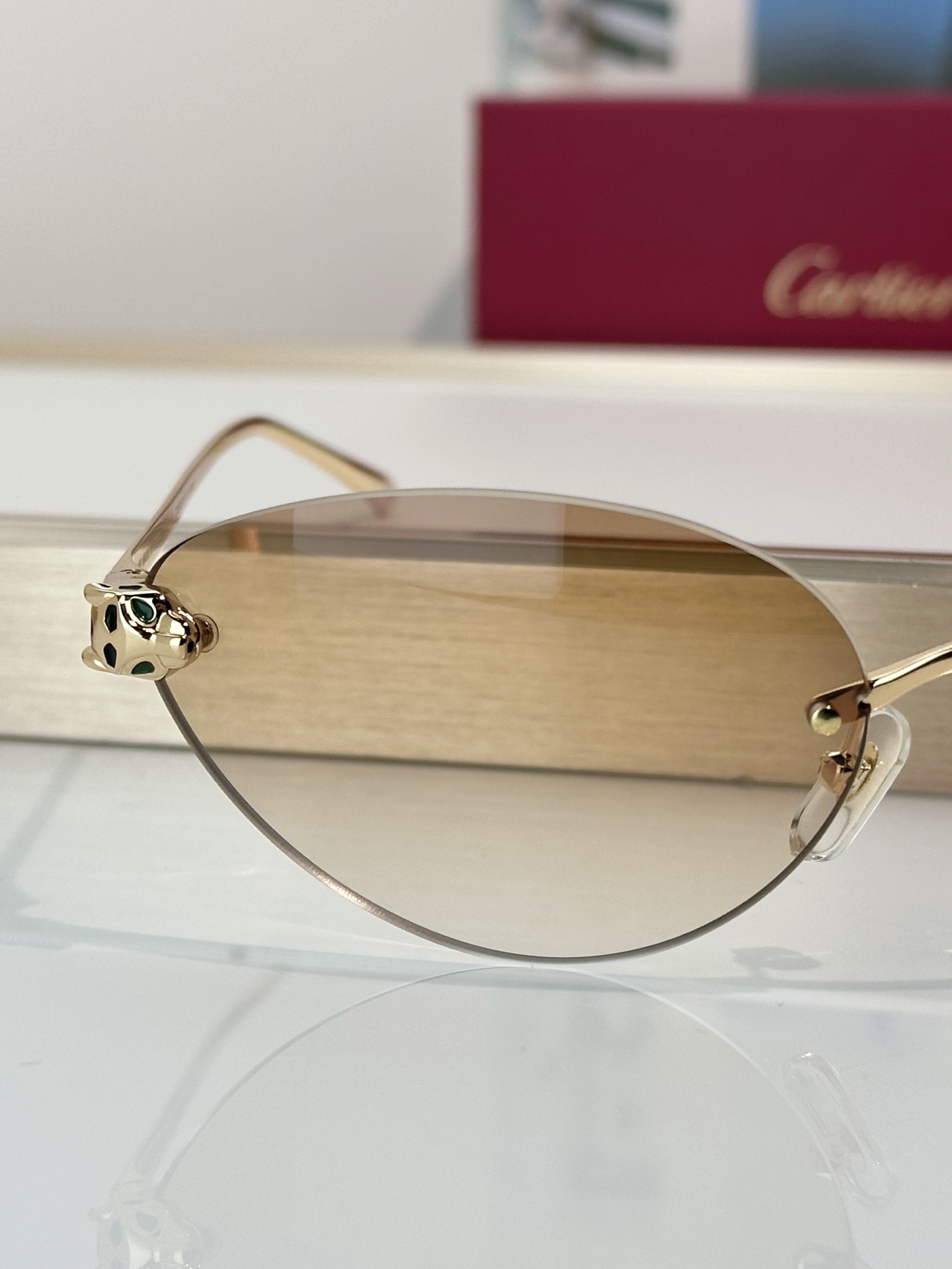 Designer Sunglasses CT0635S