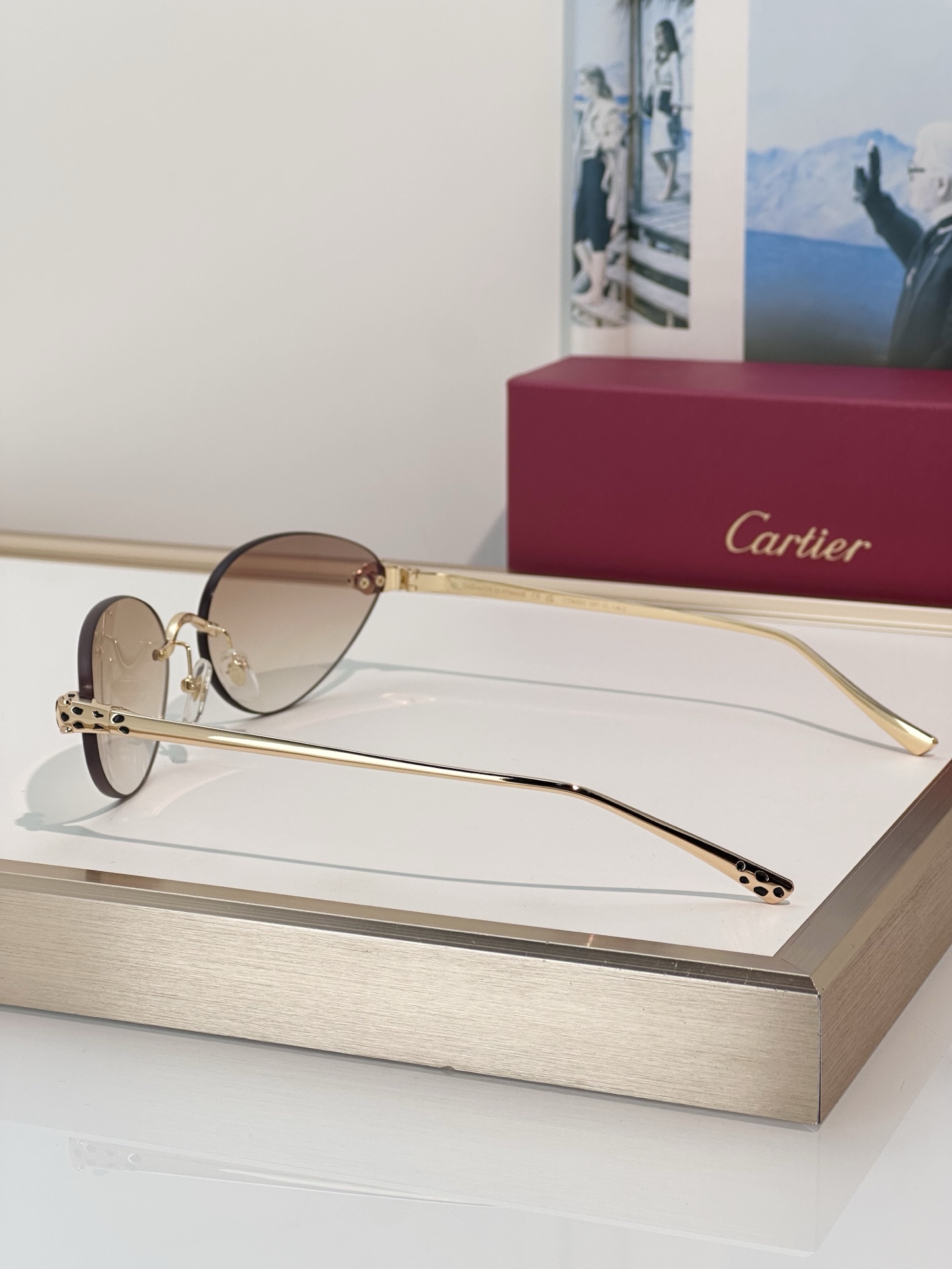 Designer Sunglasses CT0635S