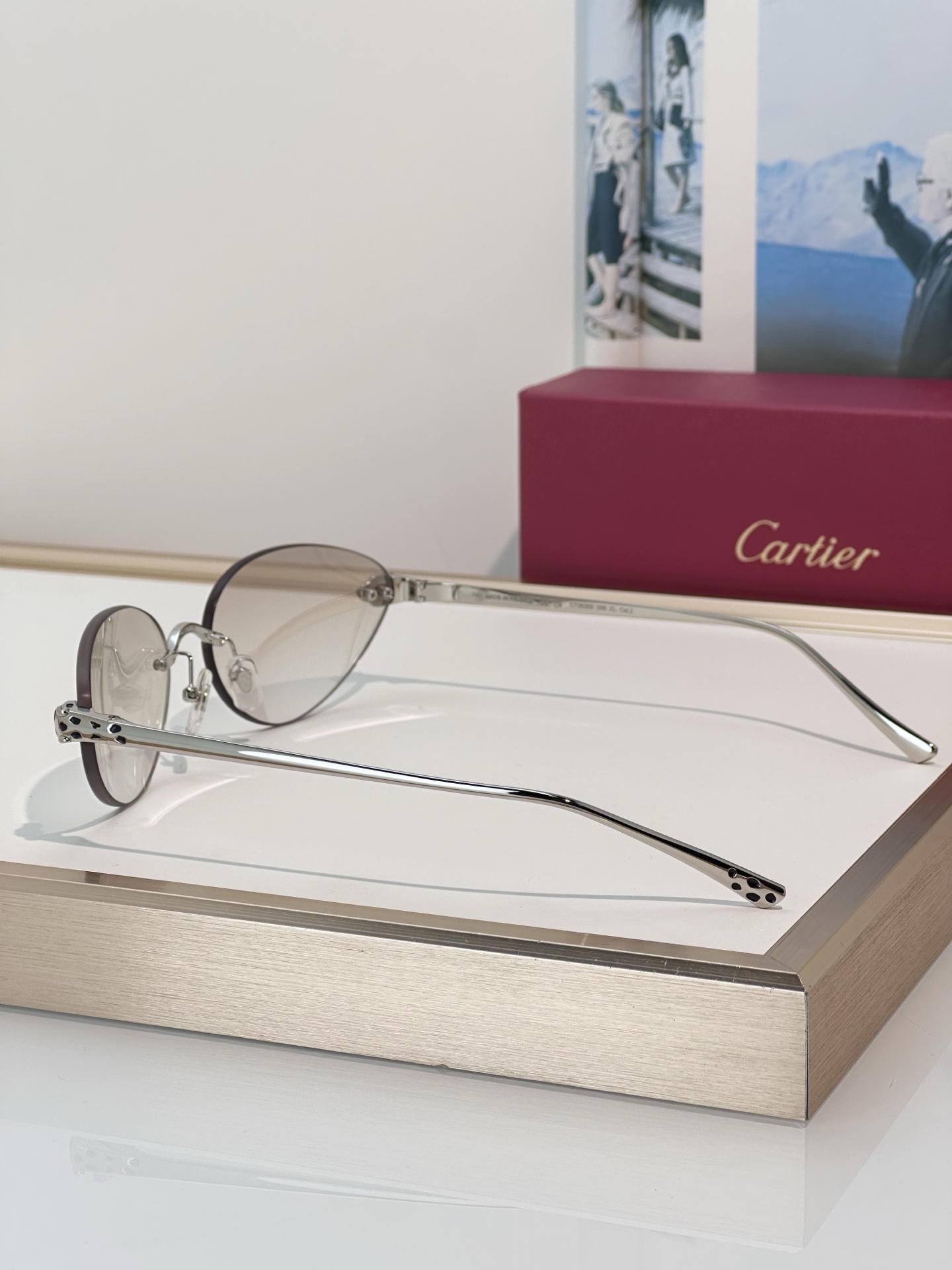 Designer Sunglasses CT0635S