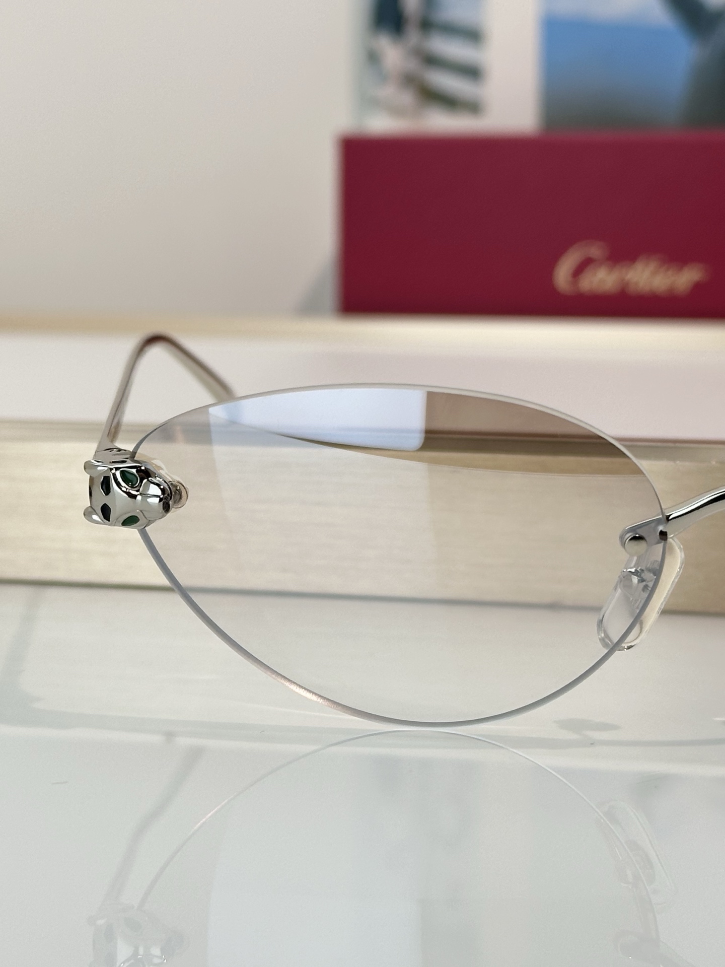 Designer Sunglasses CT0635S