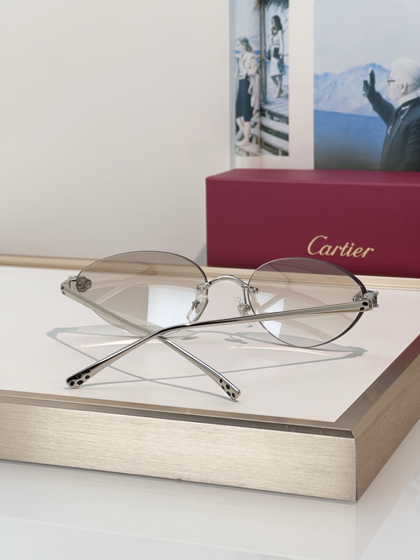 Designer Sunglasses CT0635S