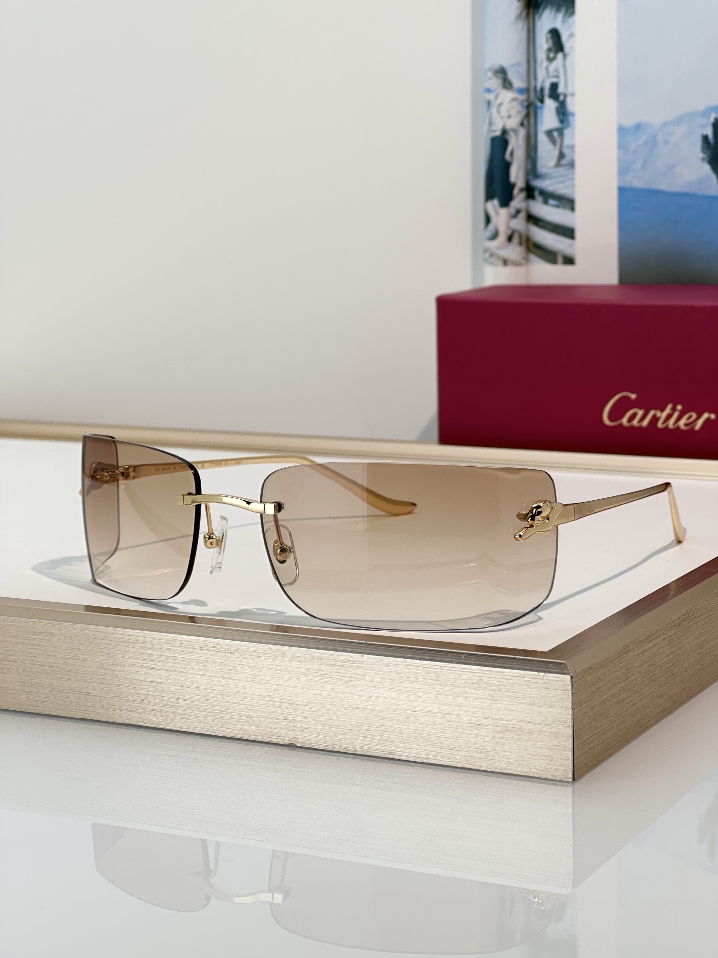 Designer Sunglasses CT0503S