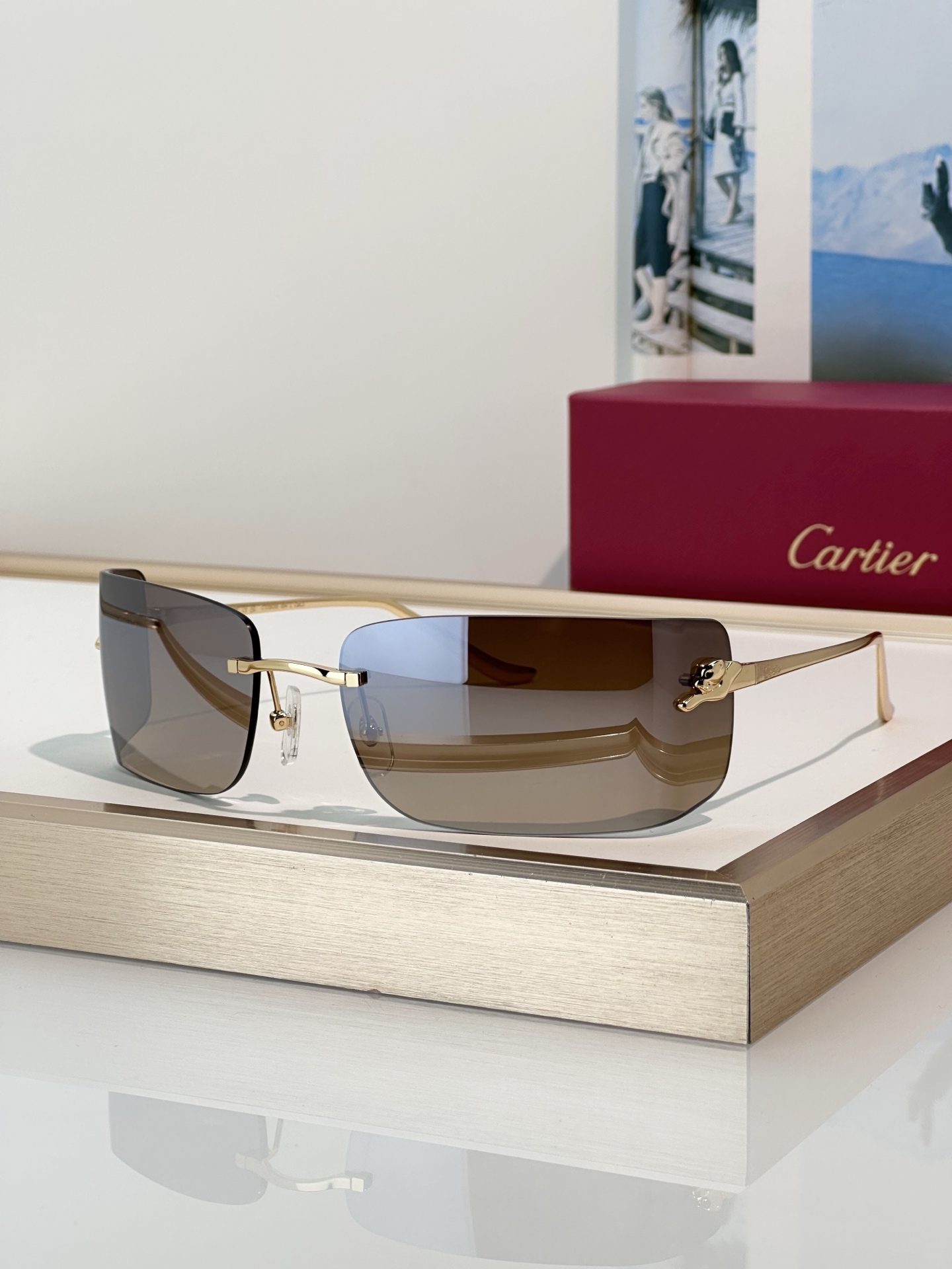 Designer Sunglasses CT0503S