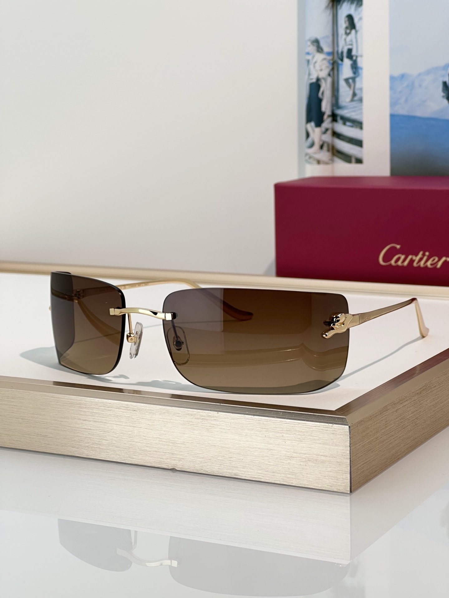 Designer Sunglasses CT0503S