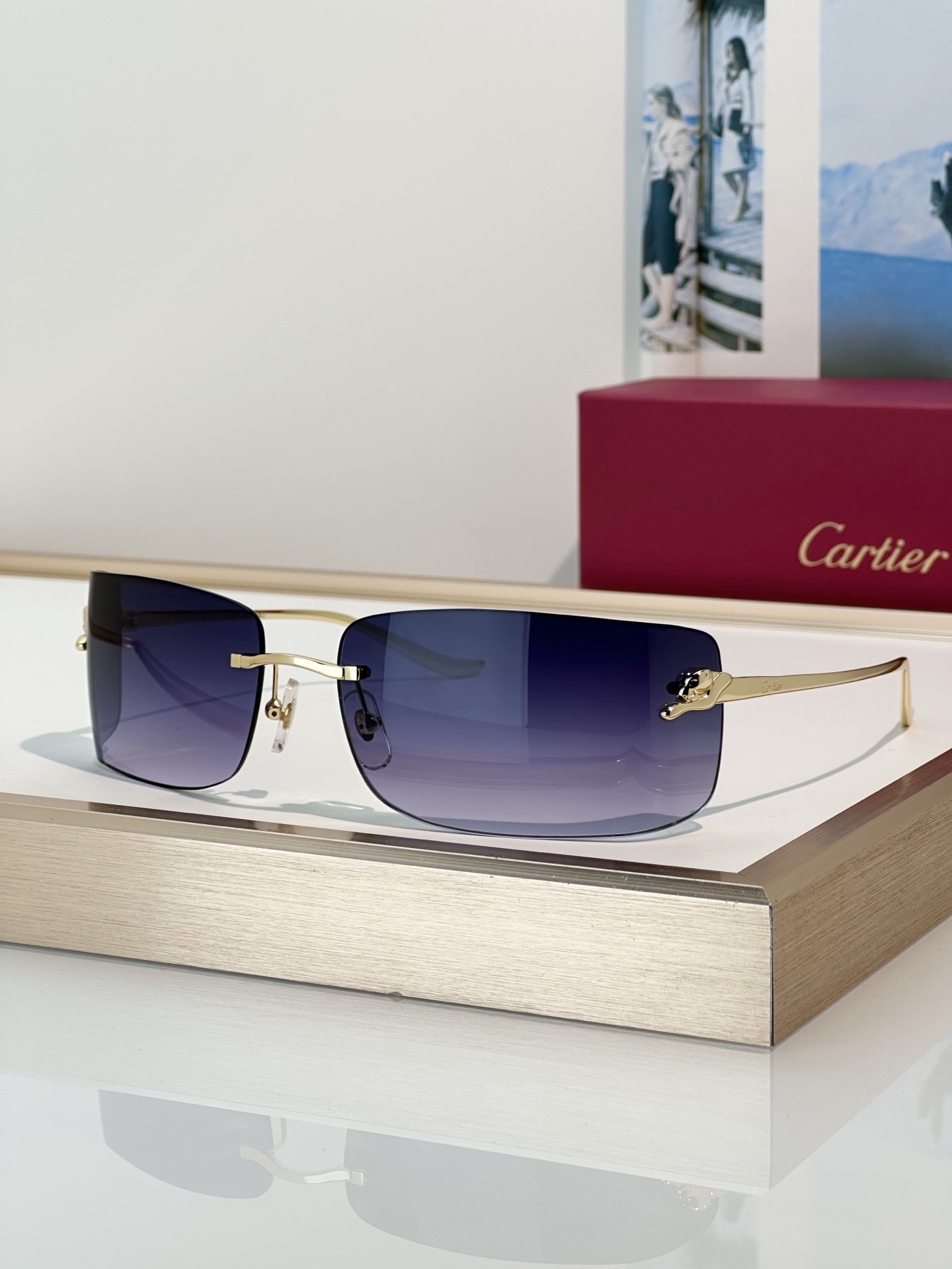 Designer Sunglasses CT0503S