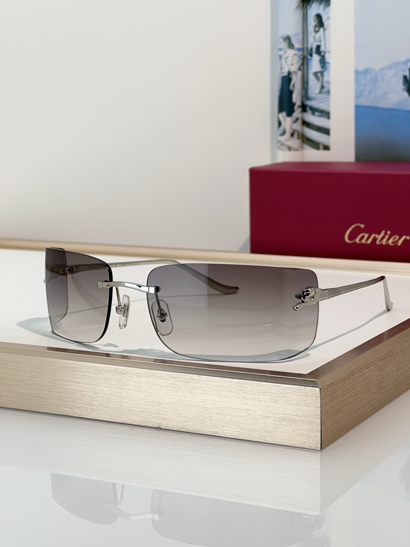 Designer Sunglasses CT0503S