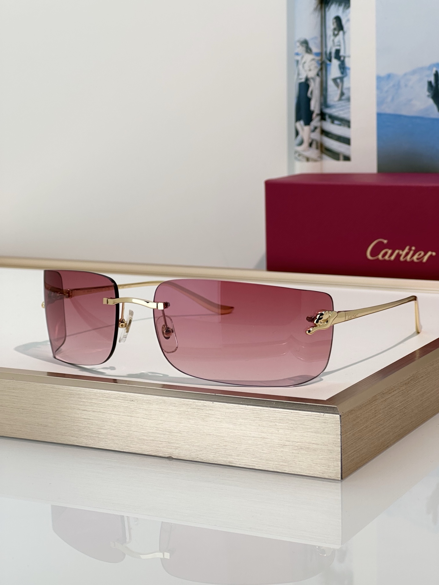 Designer Sunglasses CT0503S