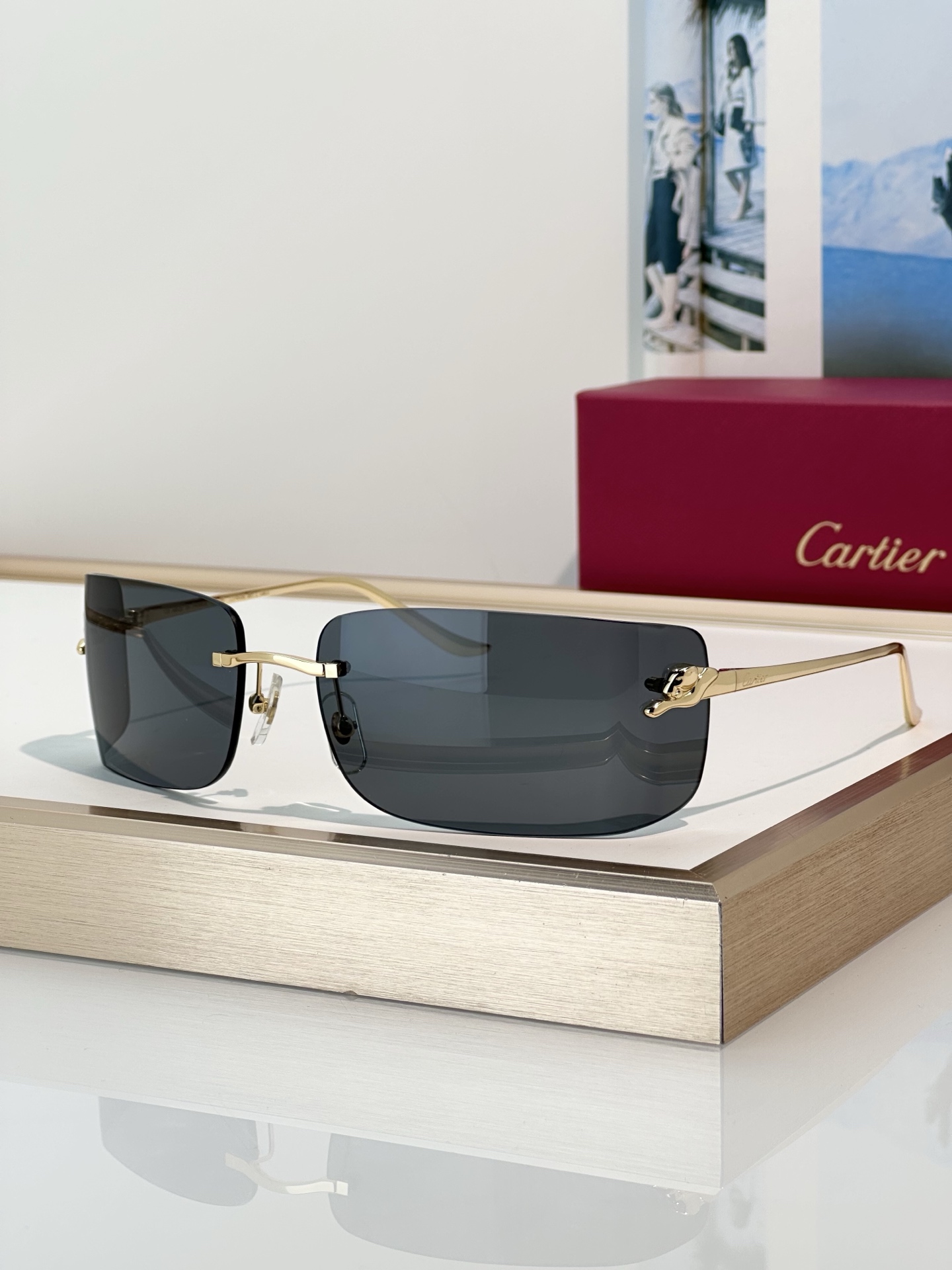 Designer Sunglasses CT0503S