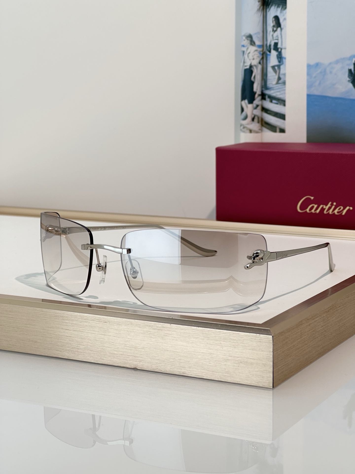 Designer Sunglasses CT0503S