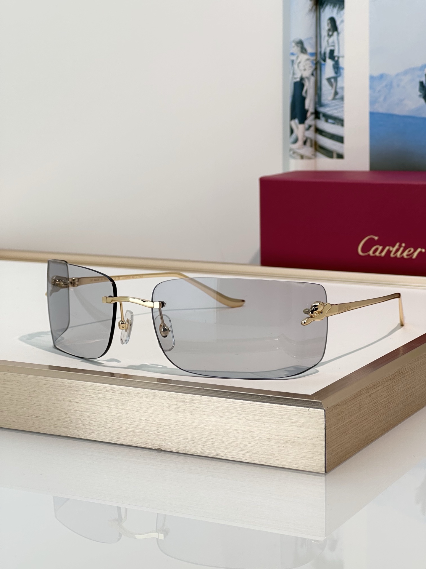 Designer Sunglasses CT0503S