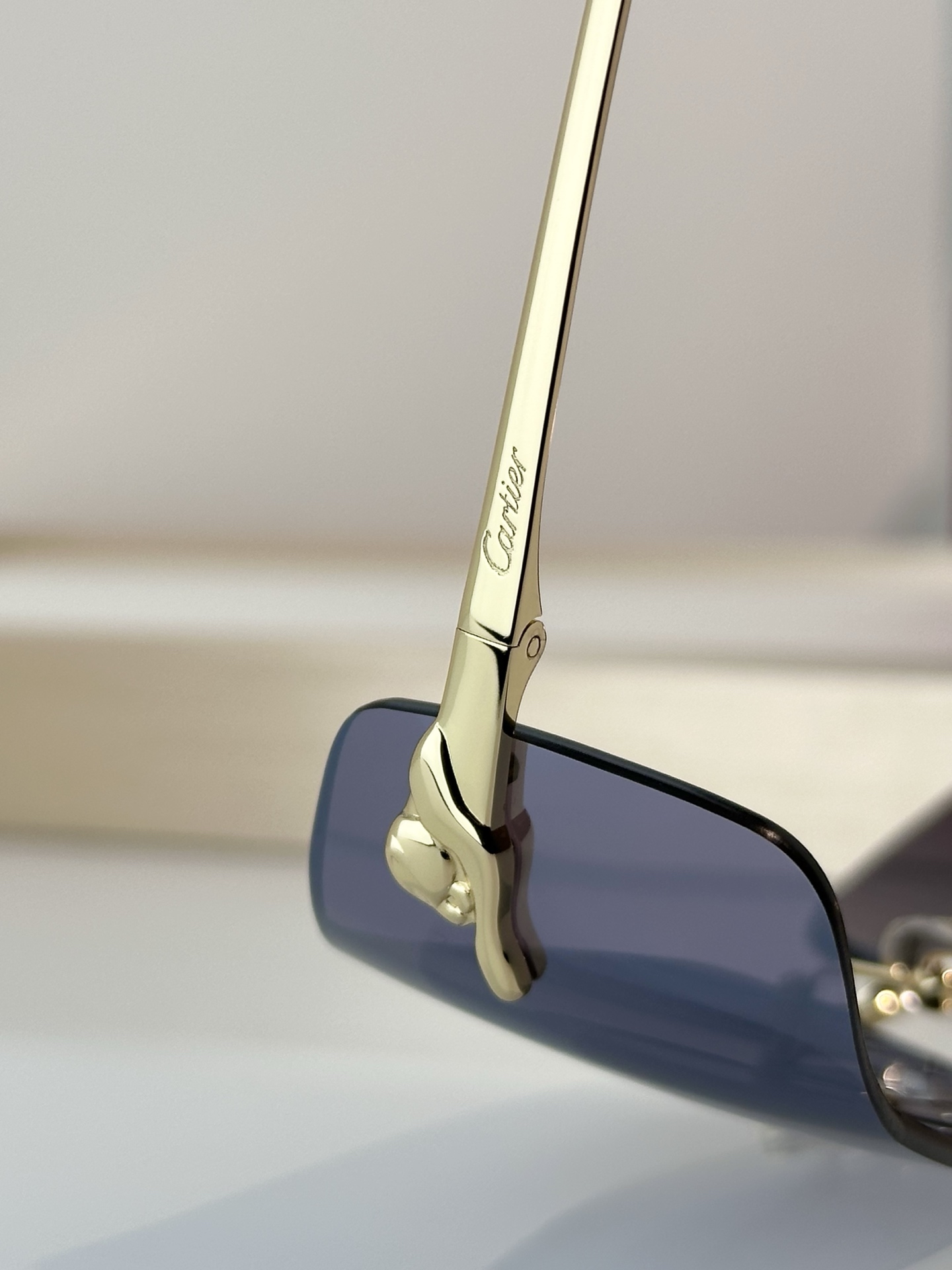Designer Sunglasses CT0503S