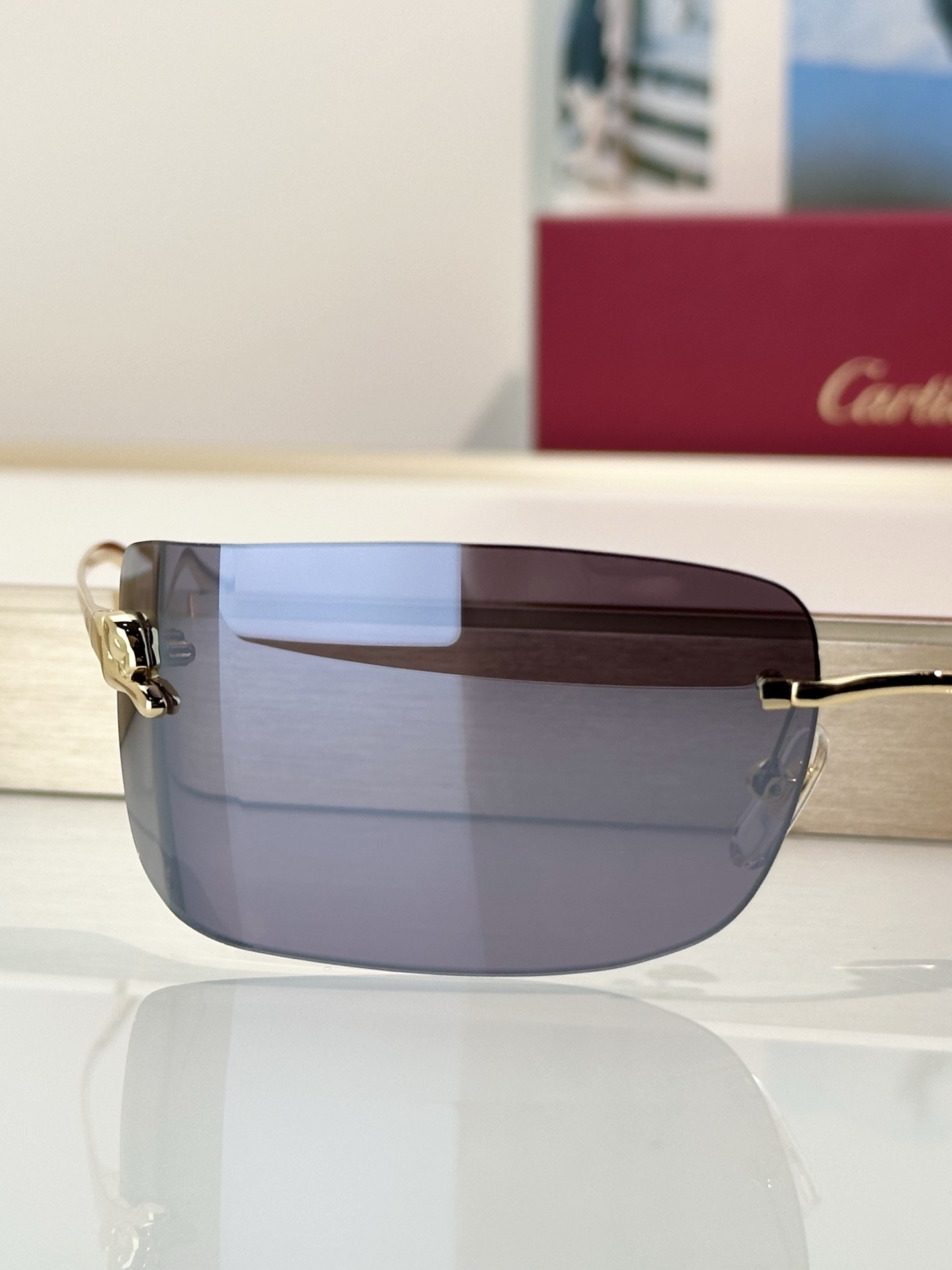 Designer Sunglasses CT0503S