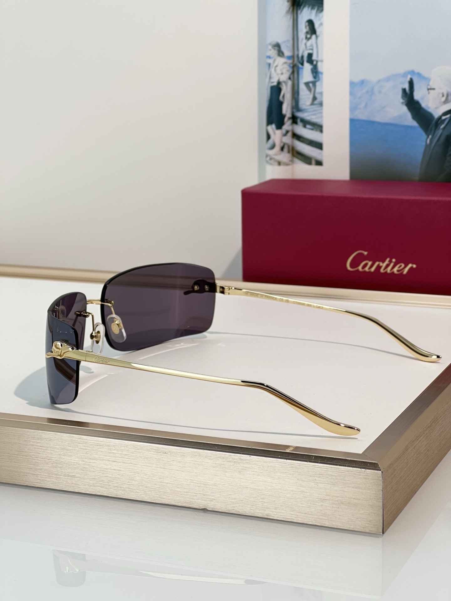 Designer Sunglasses CT0503S