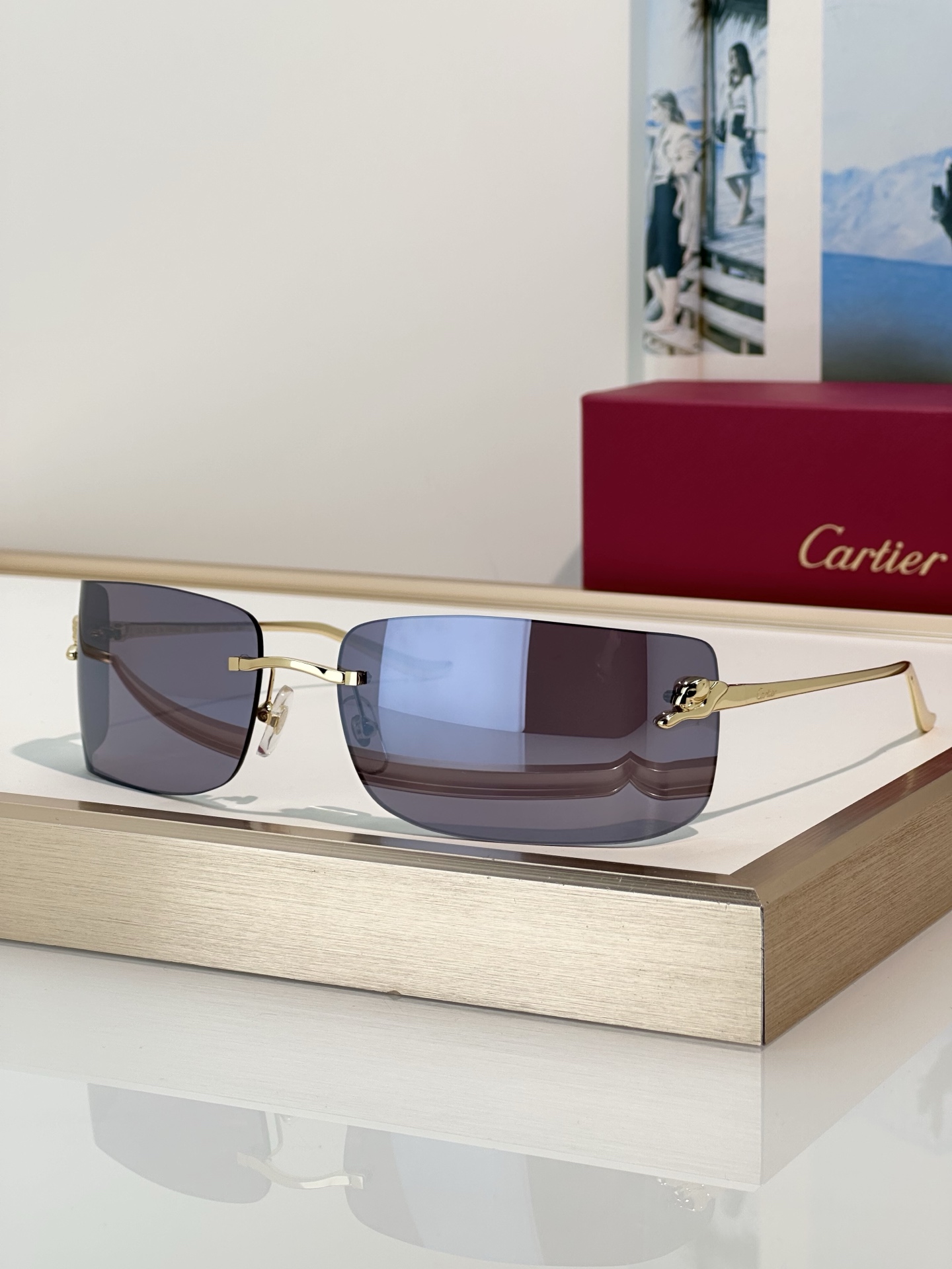 Designer Sunglasses CT0503S