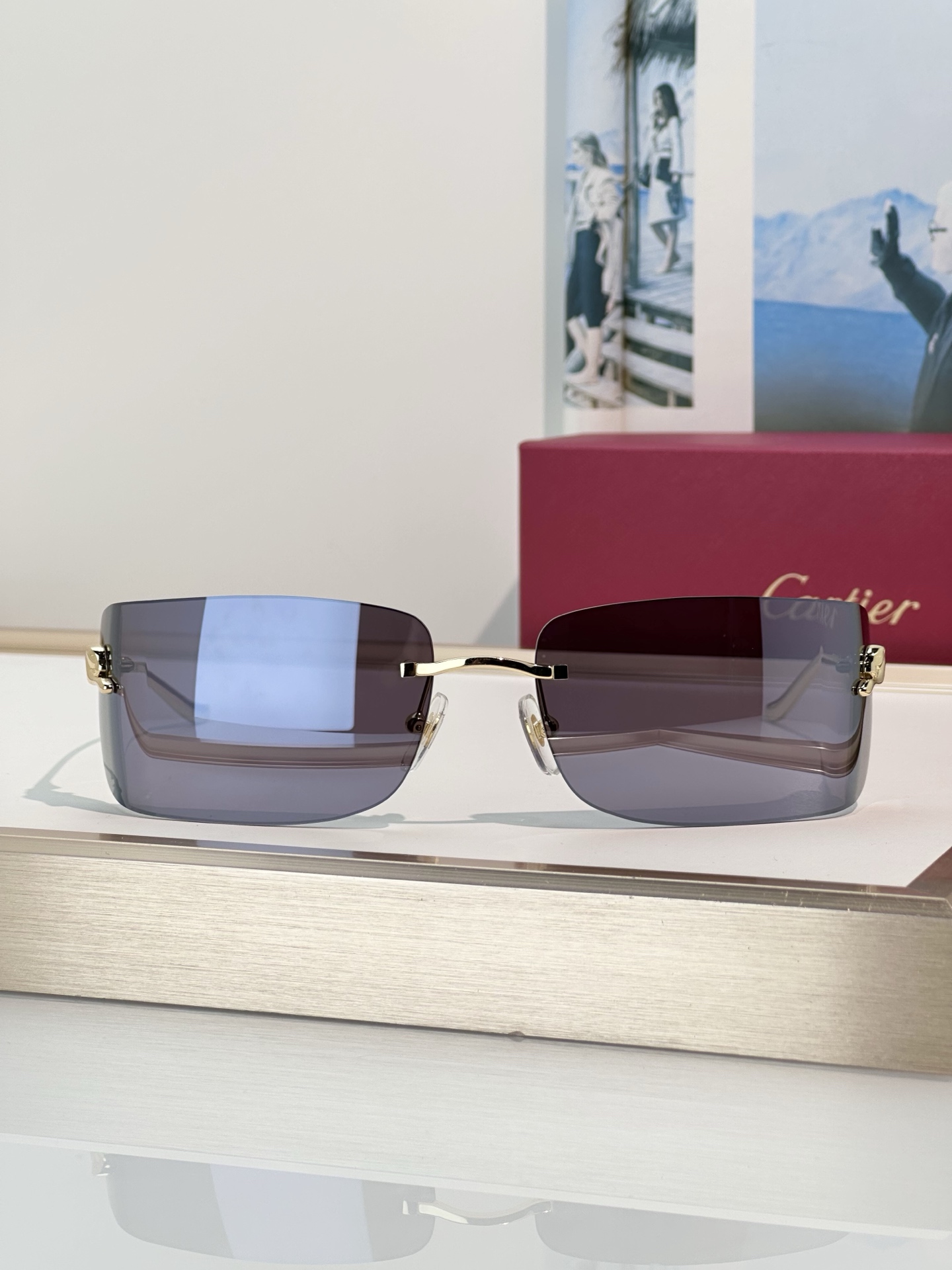 Designer Sunglasses CT0503S