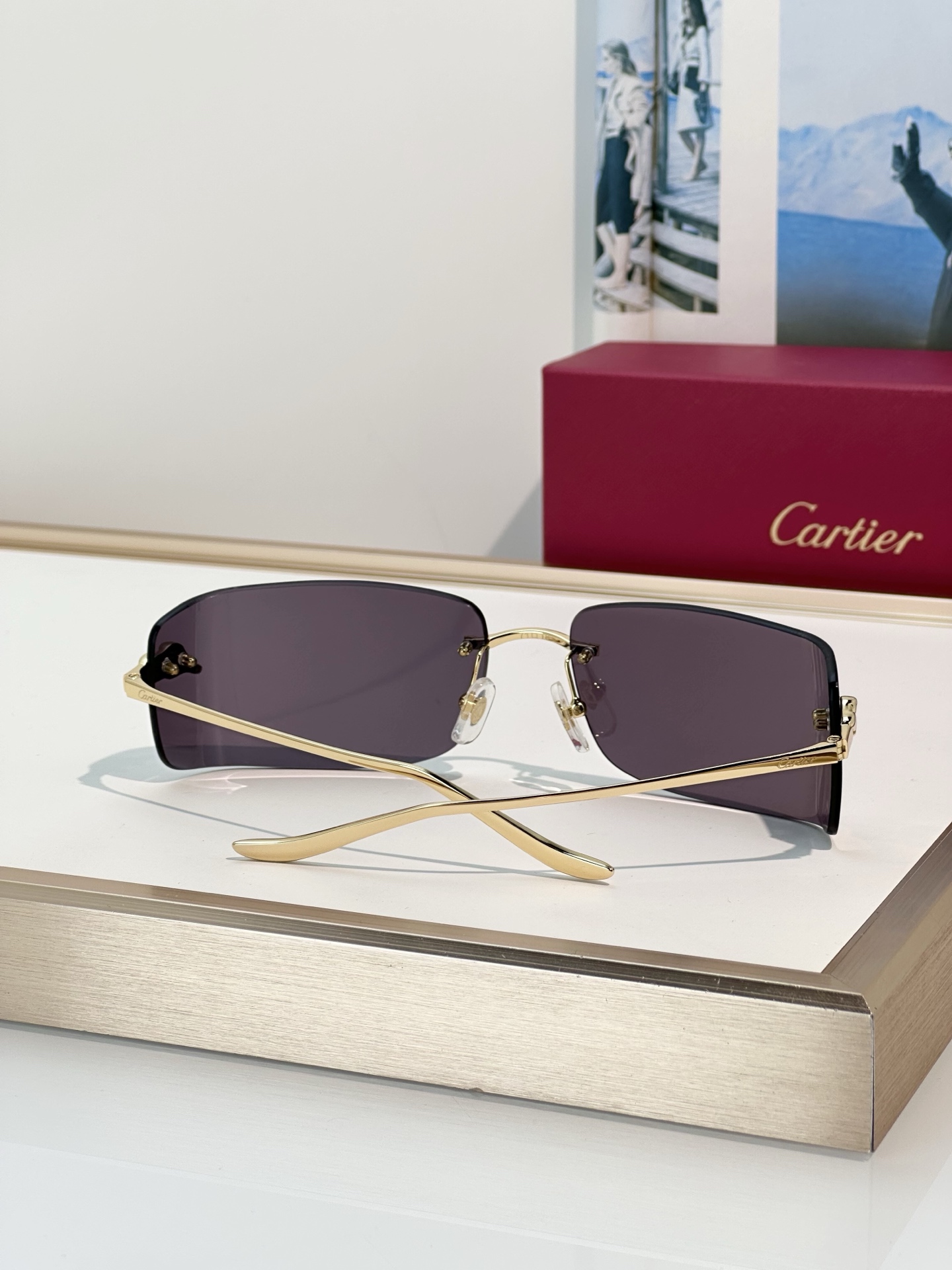 Designer Sunglasses CT0503S