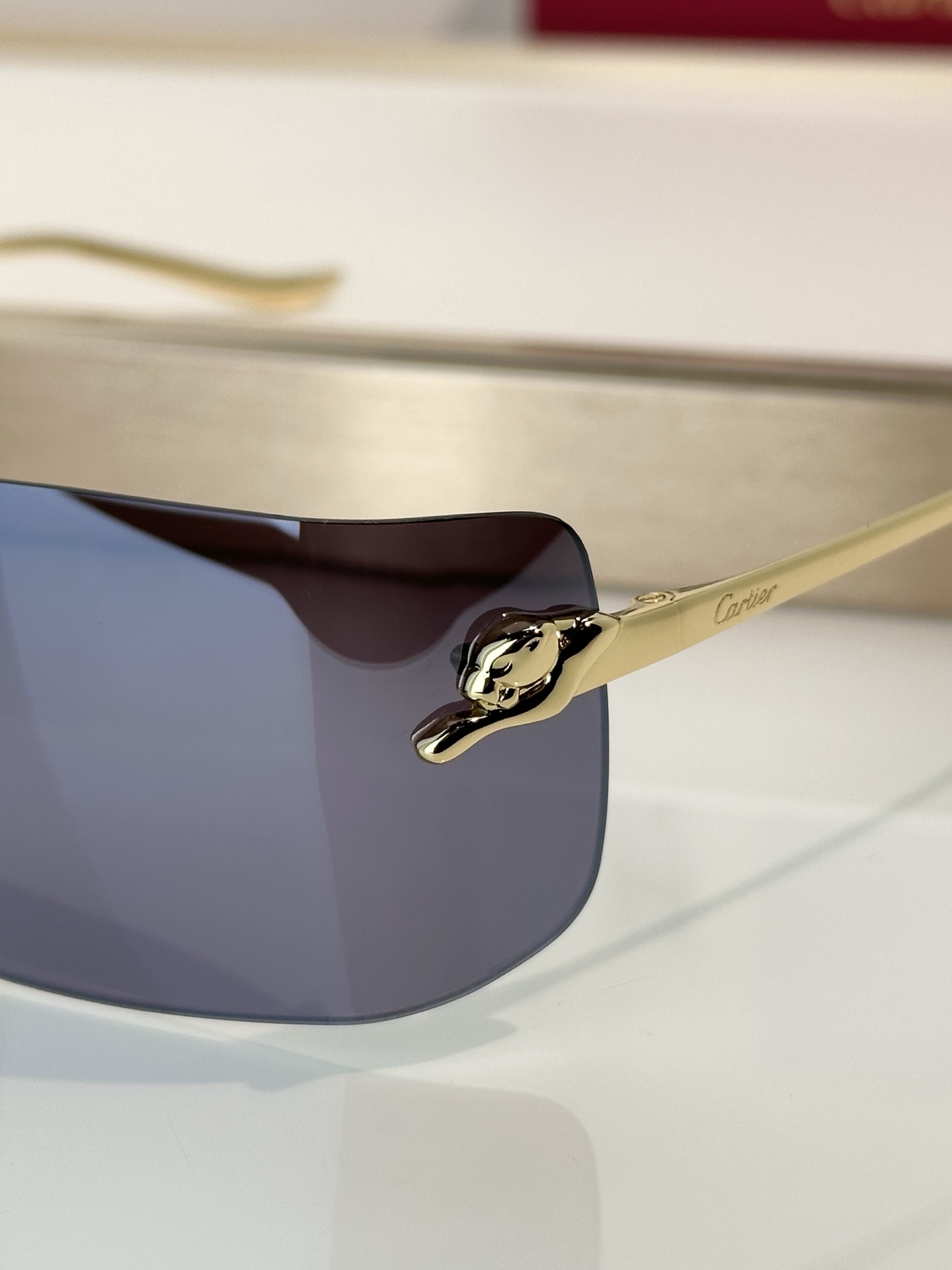 Designer Sunglasses CT0503S