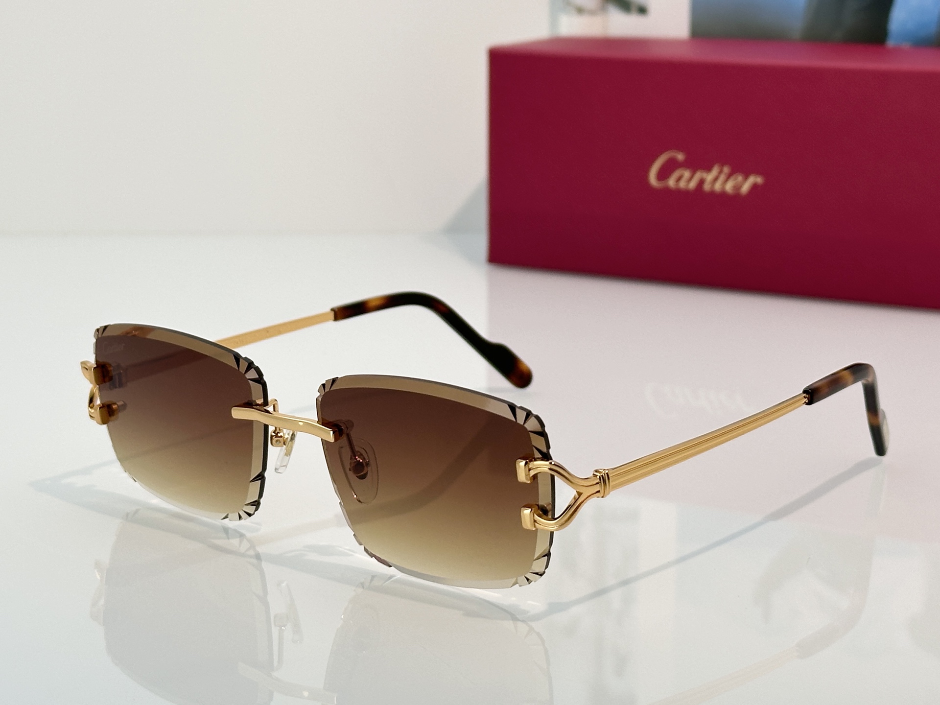 Designer Sunglasses CT7414S