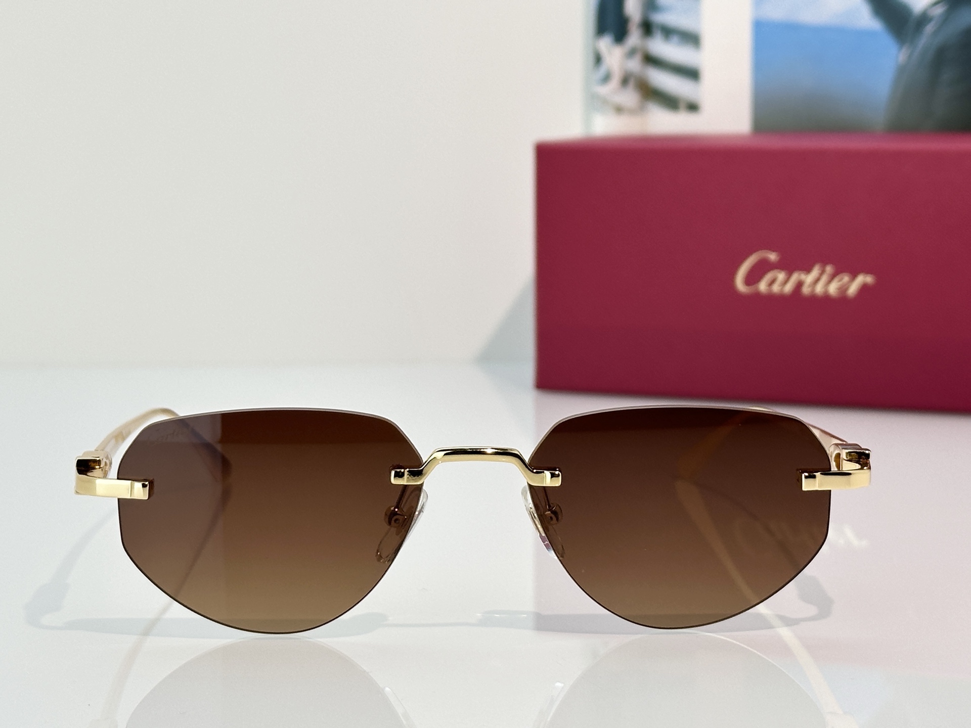 Designer Sunglasses CT0661S