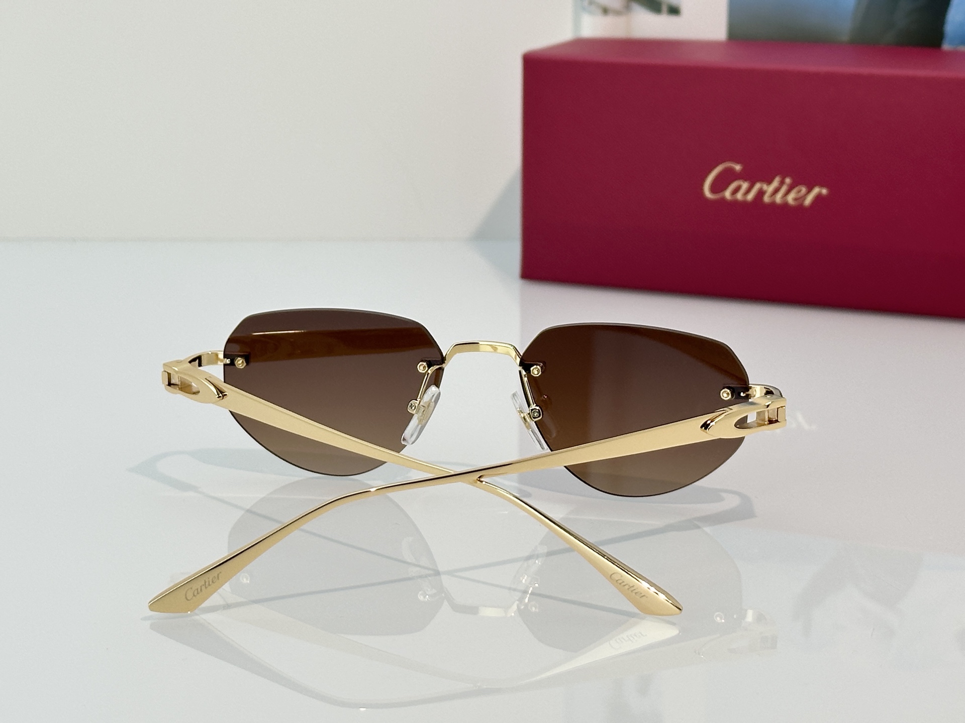 Designer Sunglasses CT0661S