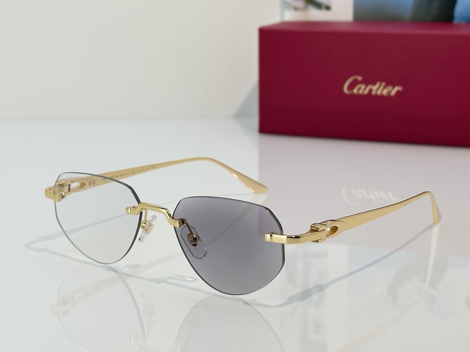 Designer Sunglasses CT0661S