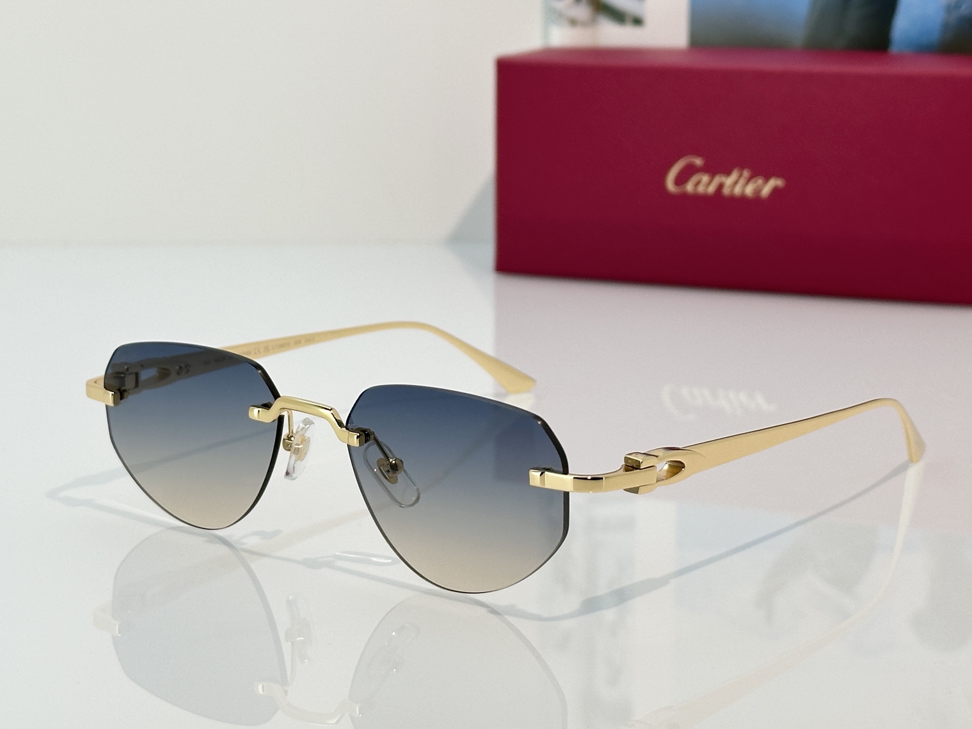 Designer Sunglasses CT0661S