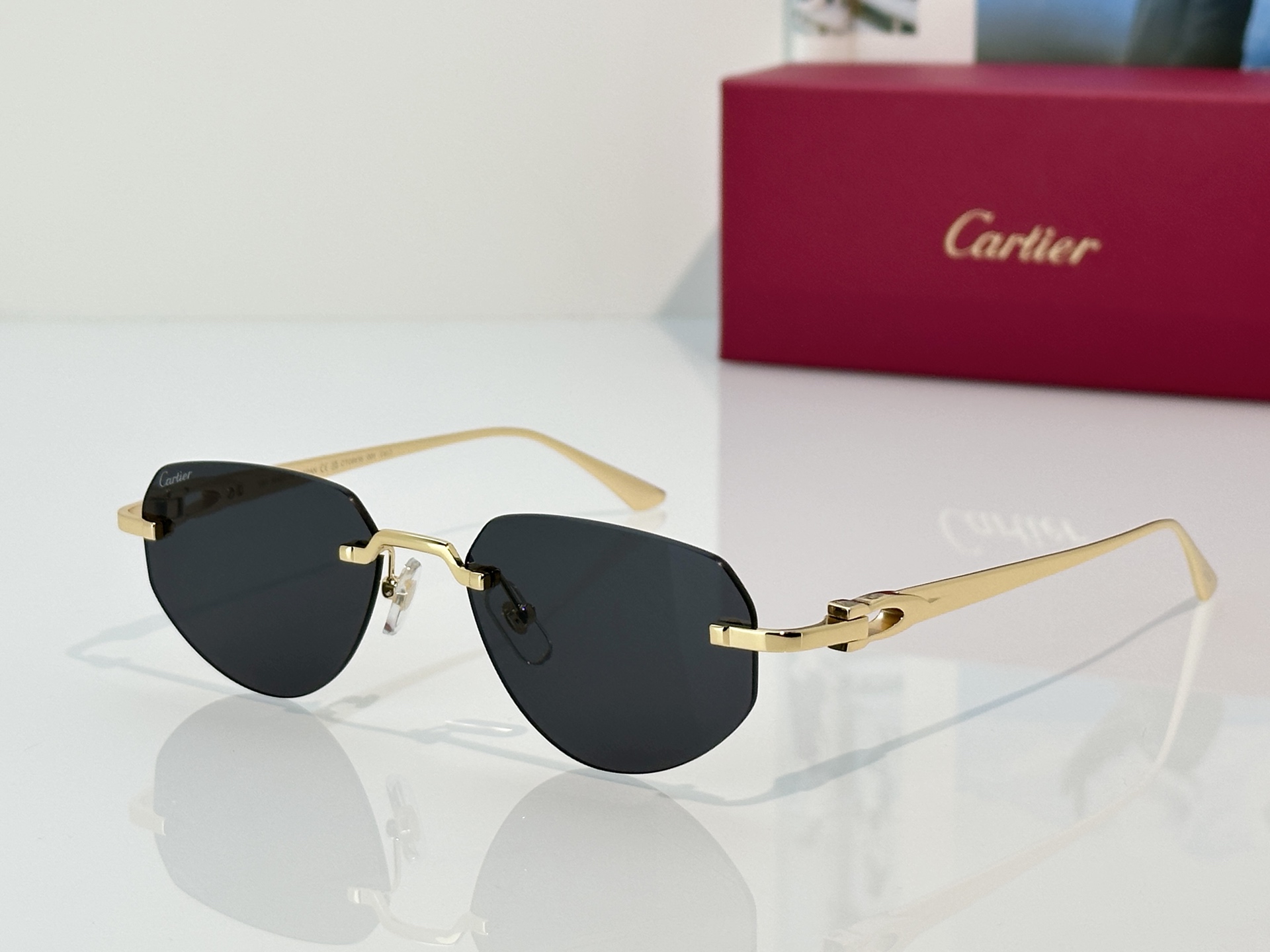 Designer Sunglasses CT0661S