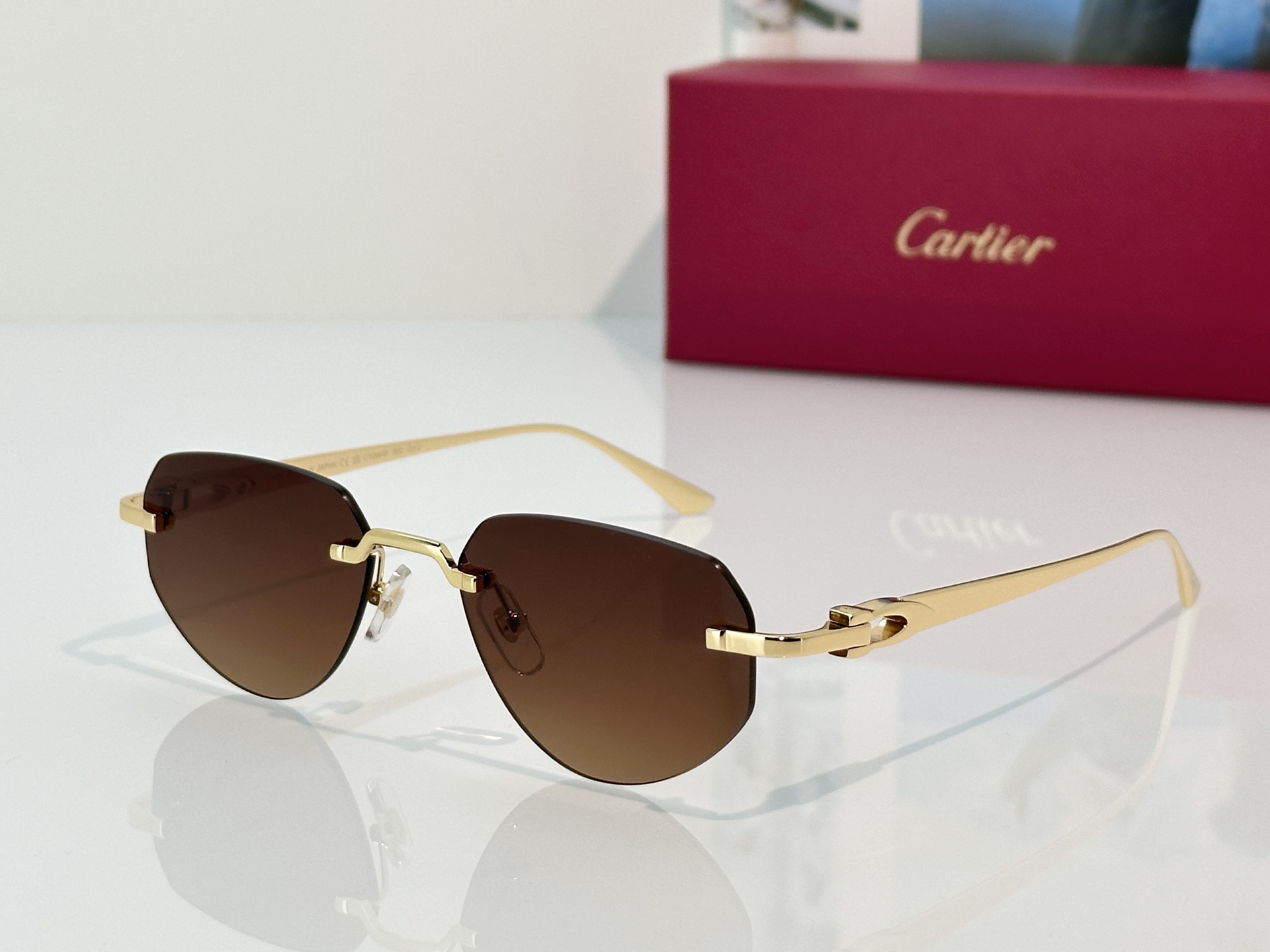 Designer Sunglasses CT0661S