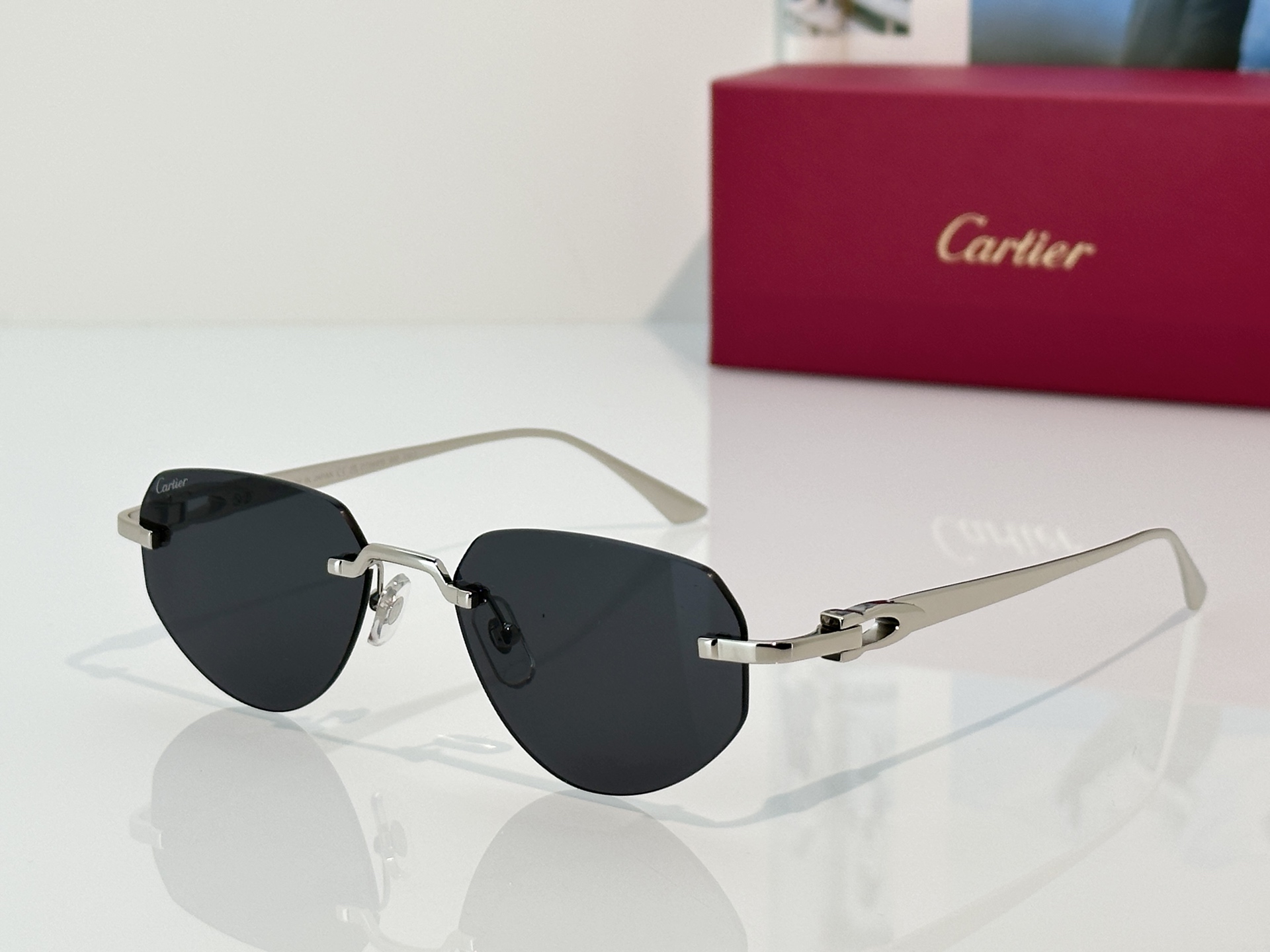 Designer Sunglasses CT0661S