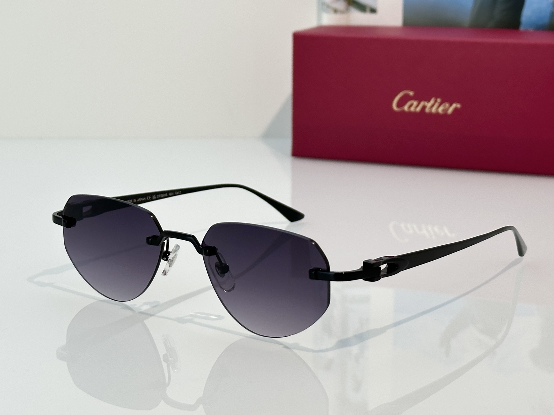 Designer Sunglasses CT0661S