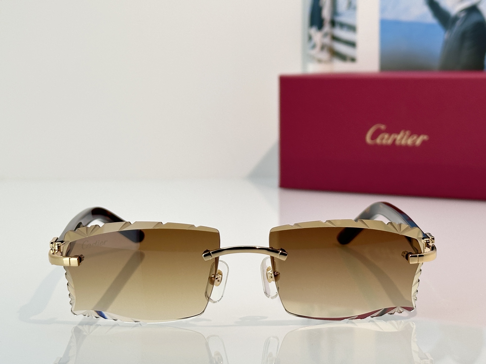 Designer Sunglasses CT0630S