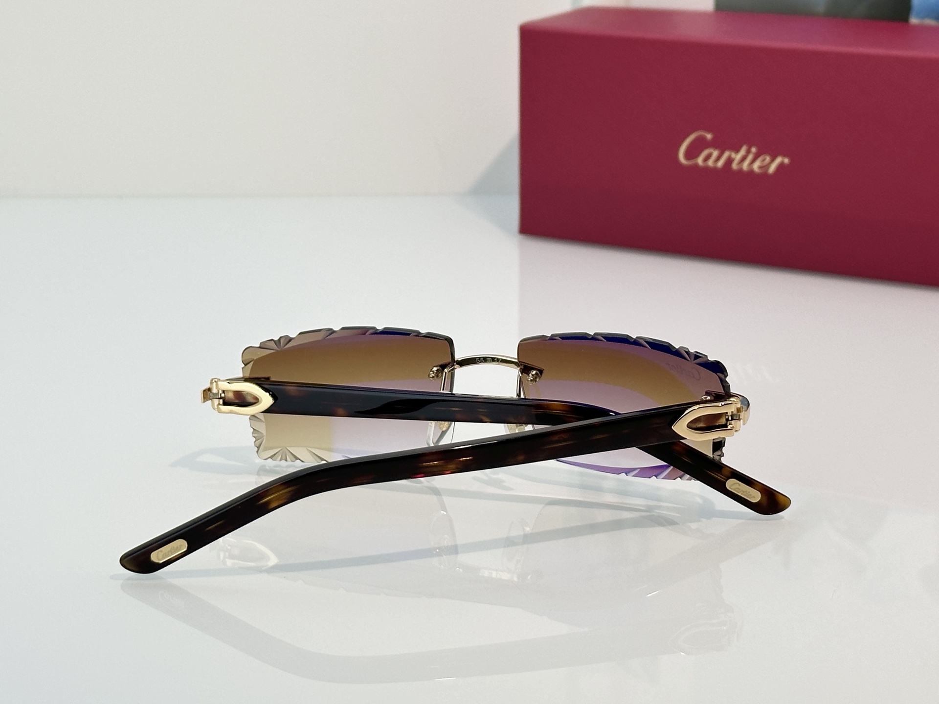 Designer Sunglasses CT0630S