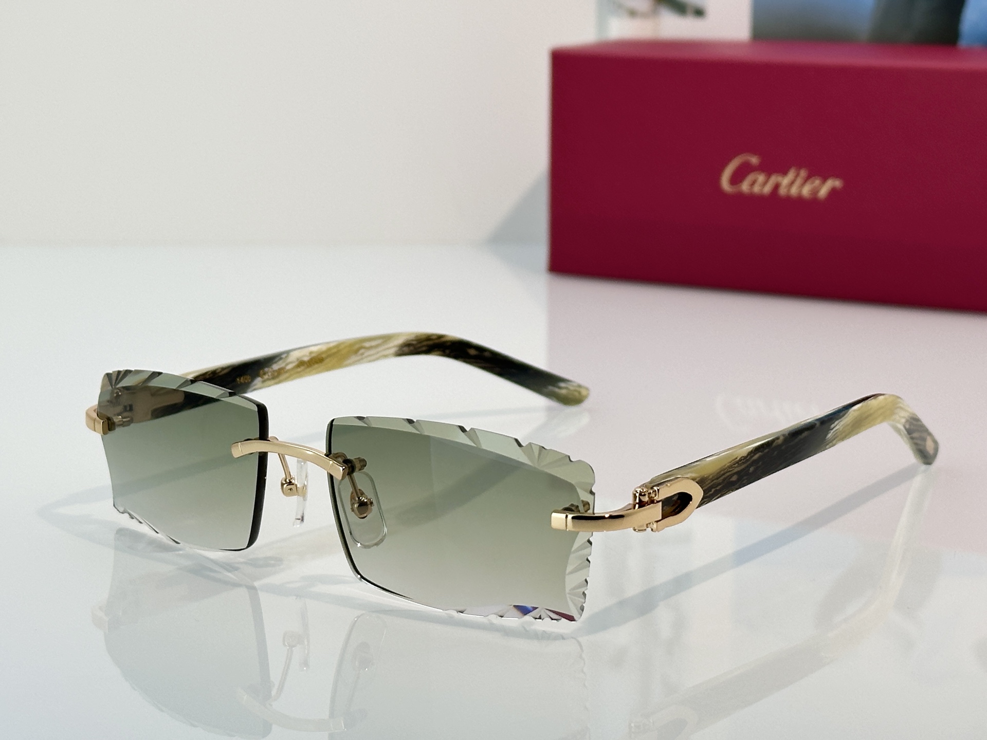 Designer Sunglasses CT0630S