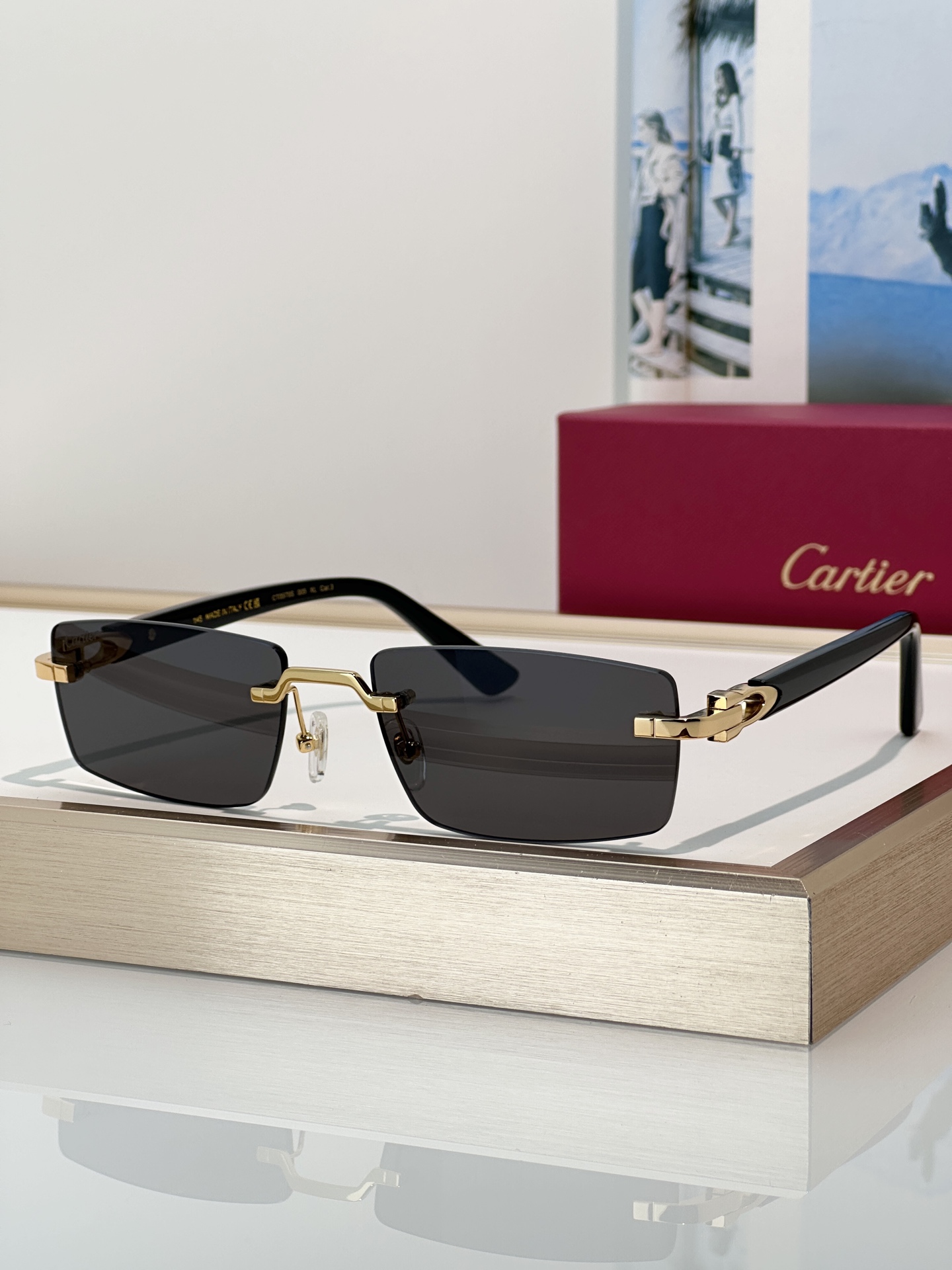 Designer Sunglasses CT0579S