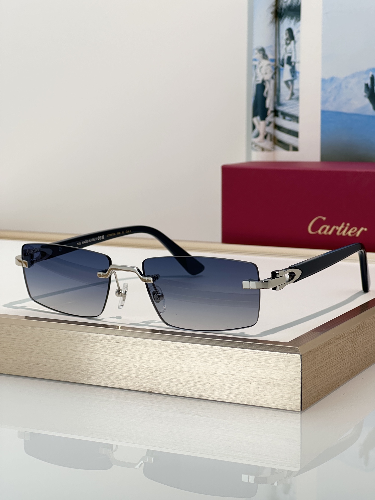 Designer Sunglasses CT0579S