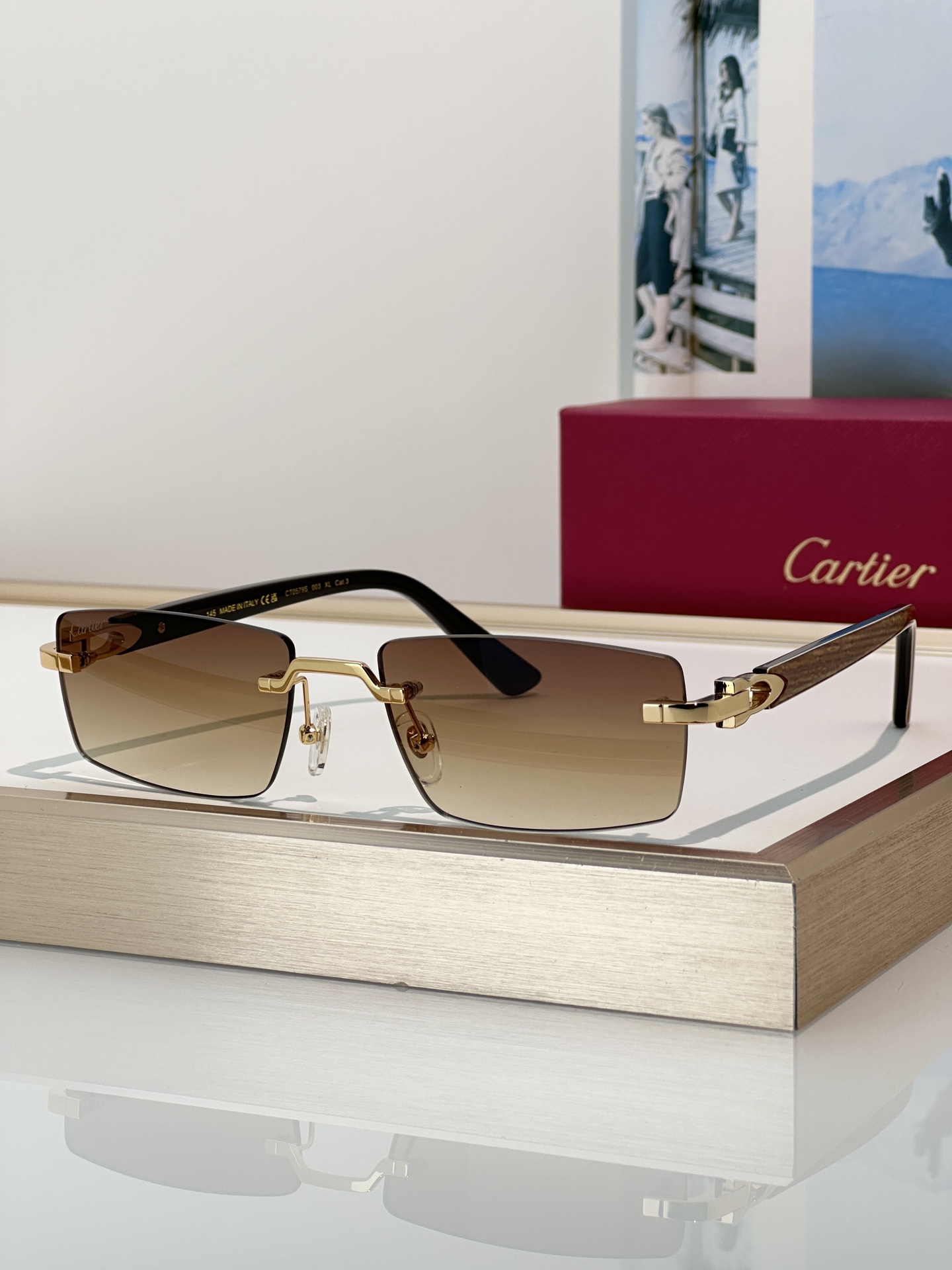 Designer Sunglasses CT0579S