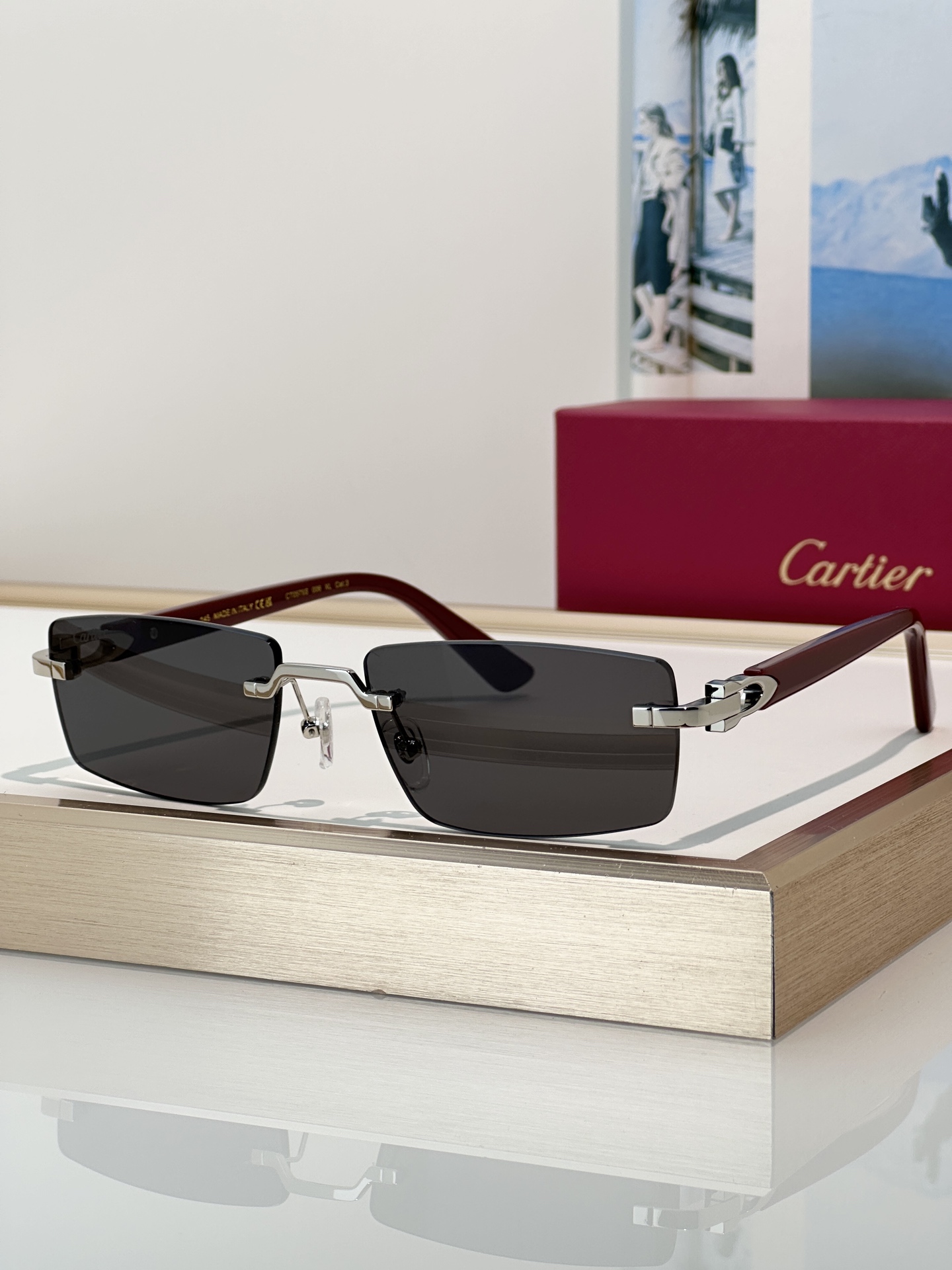 Designer Sunglasses CT0579S