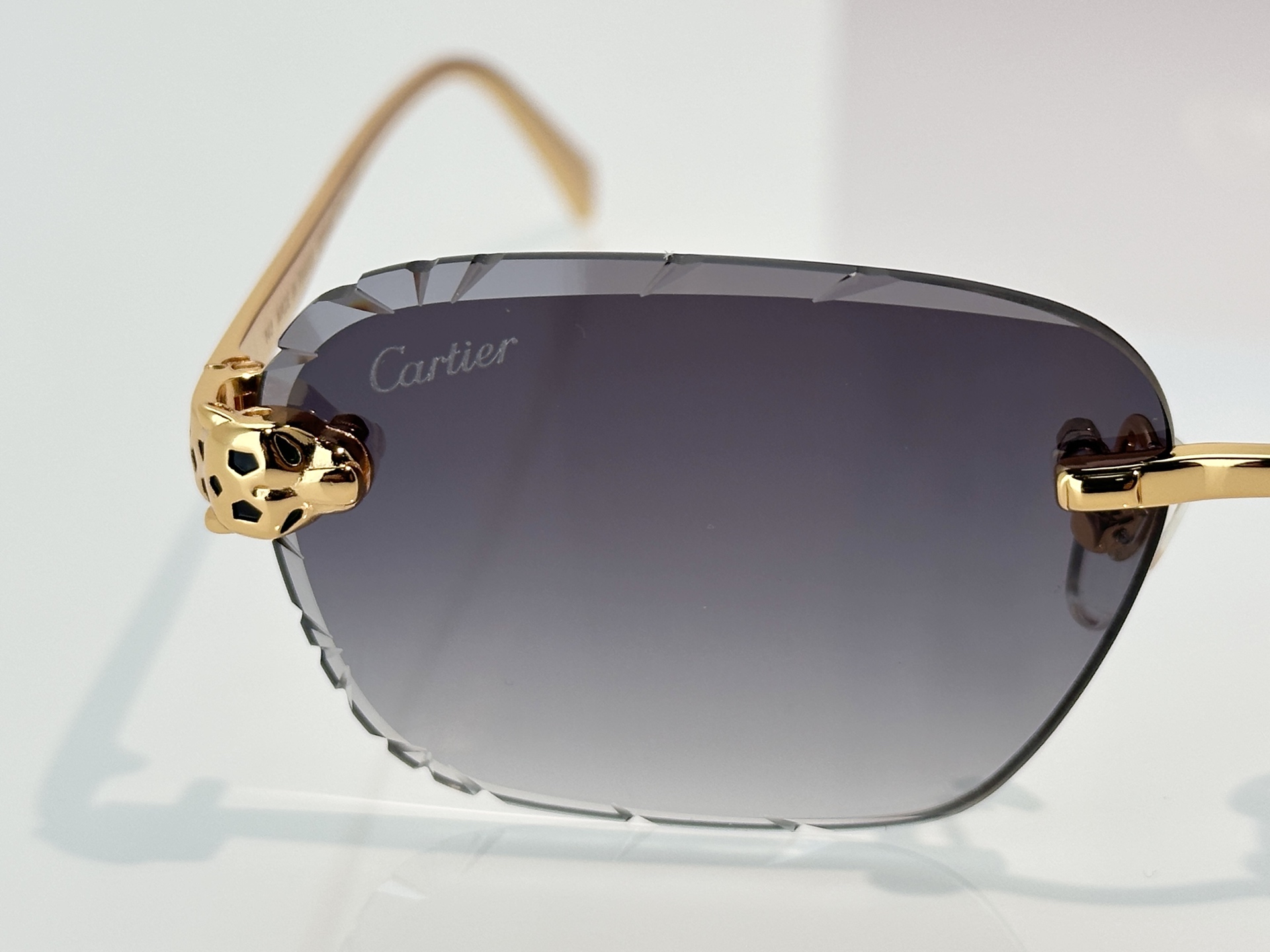 Designer Sunglasses CT0635S