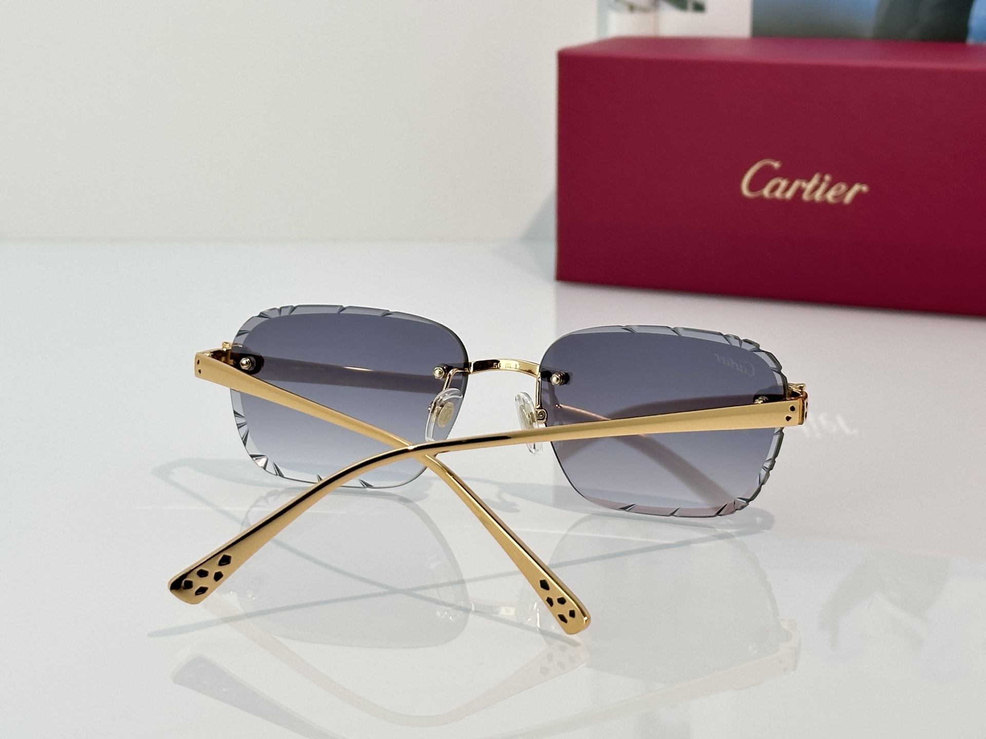 Designer Sunglasses CT0635S